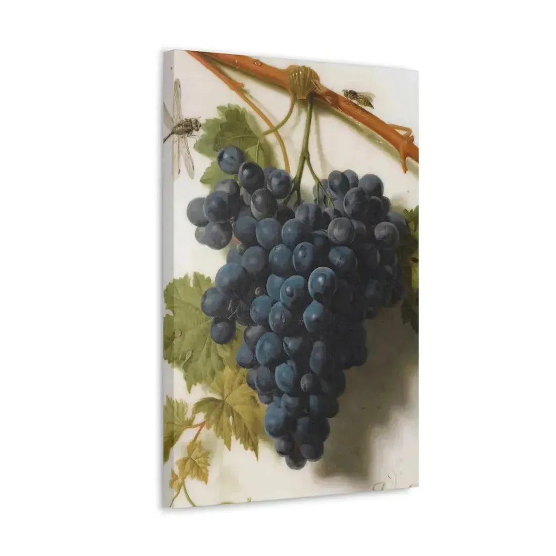 Jan Frans van Dael (1764-1840) Grappe de Raisins Marble - Canvas Wall Art - The Sticker Space