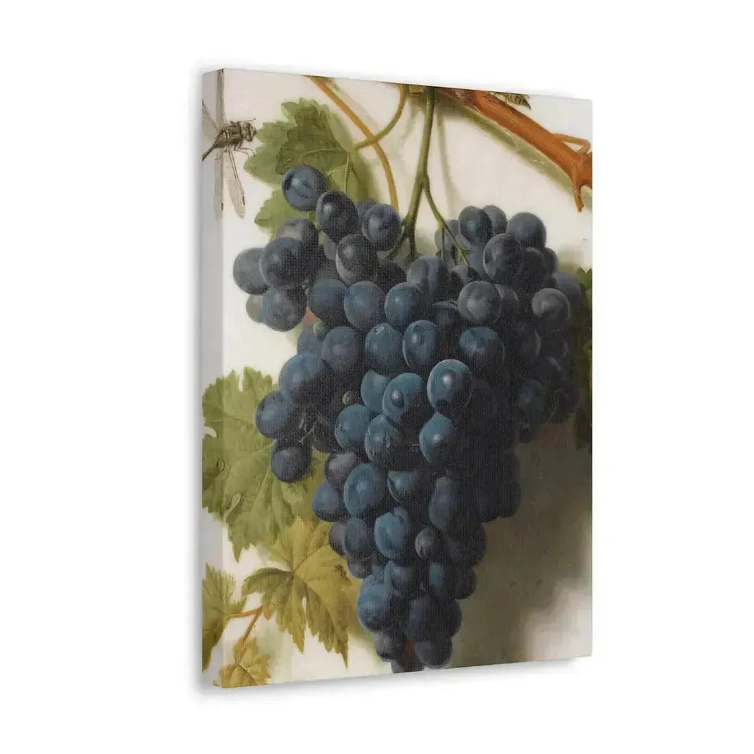 Jan Frans van Dael (1764-1840) Grappe de Raisins Marble - Canvas Wall Art - The Sticker Space