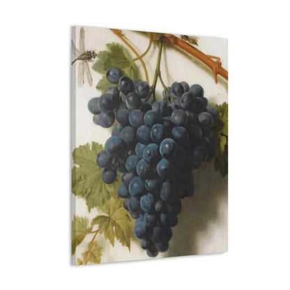 Jan Frans van Dael (1764-1840) Grappe de Raisins Marble - Canvas Wall Art - The Sticker Space