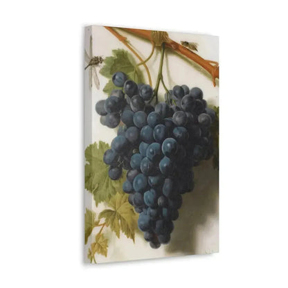 Jan Frans van Dael (1764-1840) Grappe de Raisins Marble - Canvas Wall Art - The Sticker Space