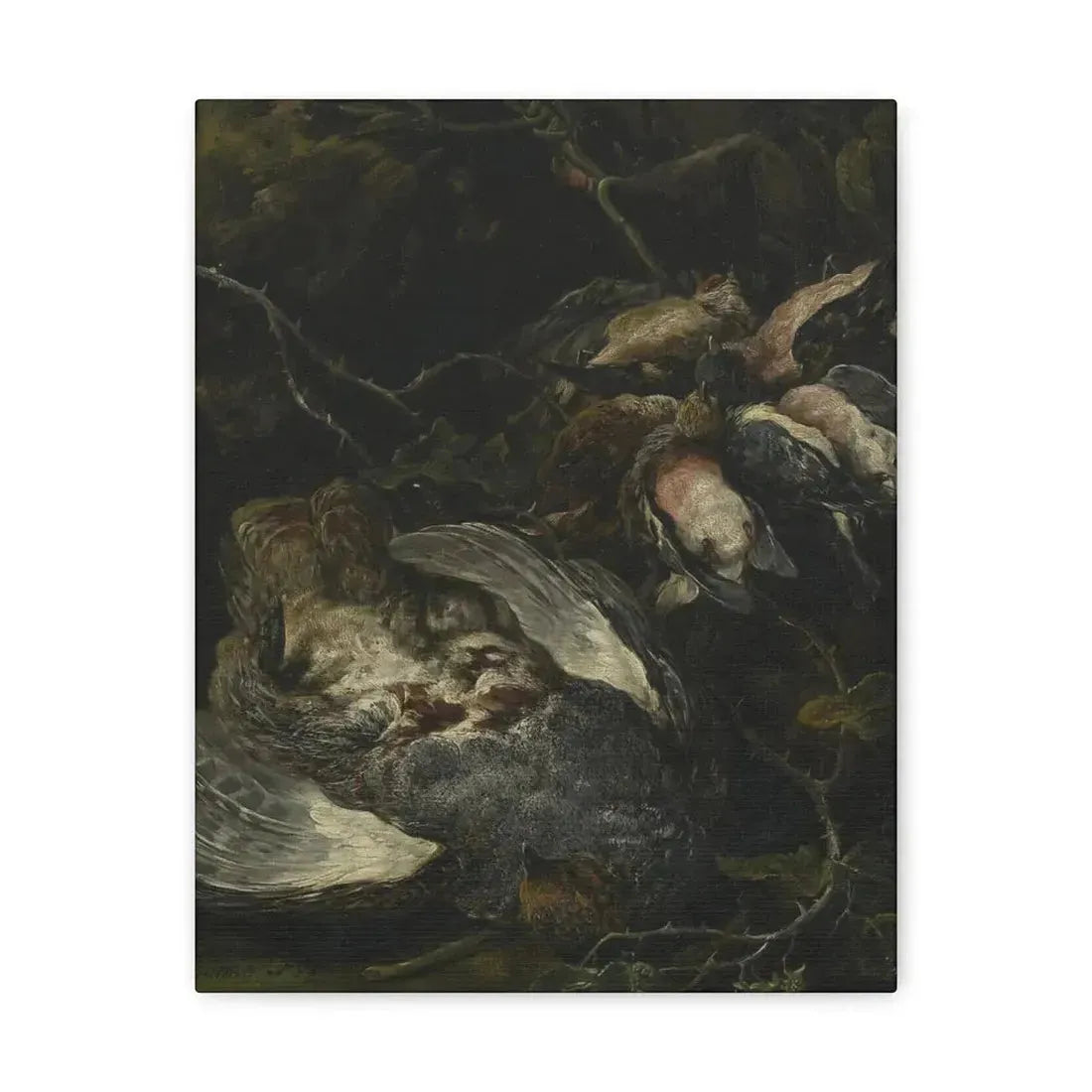 Jan Fyt (1611-1661) A Partridge and Small Game Birds 1650s - Canvas Wall Art 11″ x 14″ 1.25" - The Sticker Space