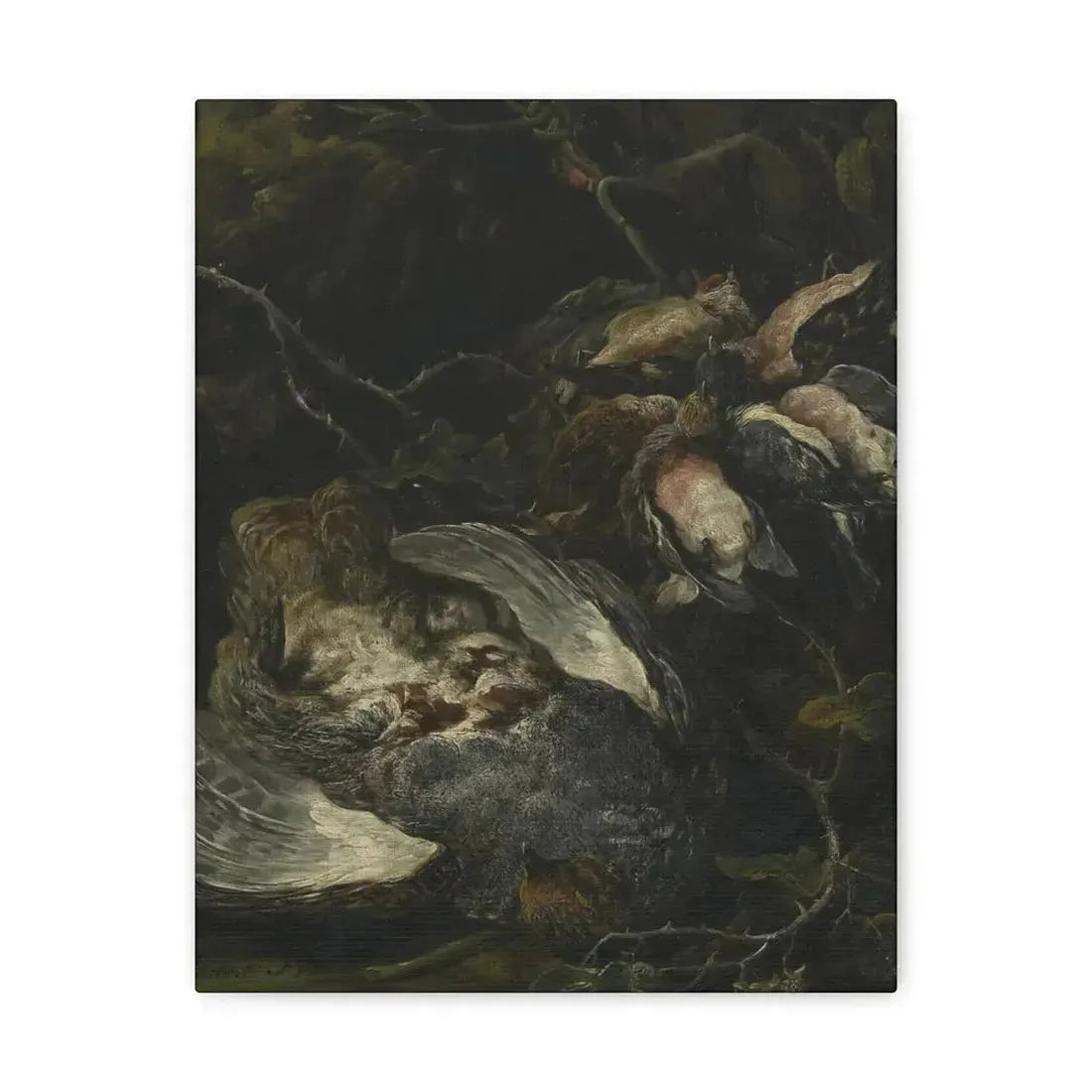 Jan Fyt (1611-1661) A Partridge and Small Game Birds 1650s - Canvas Wall Art - The Sticker Space