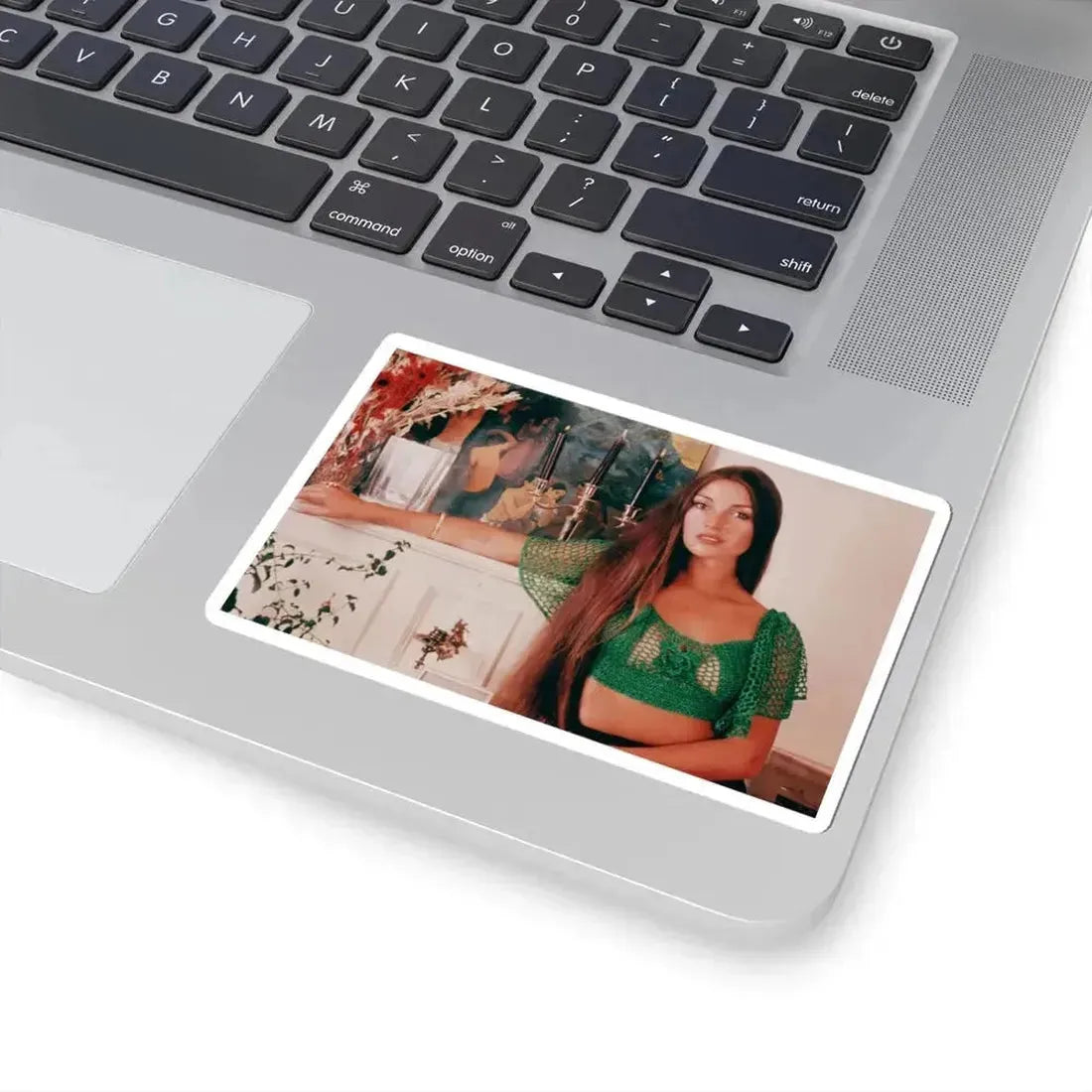 Jane Seymour #02 (Vintage Female Icon) STICKER Vinyl Kiss-Cut Decal - The Sticker Space