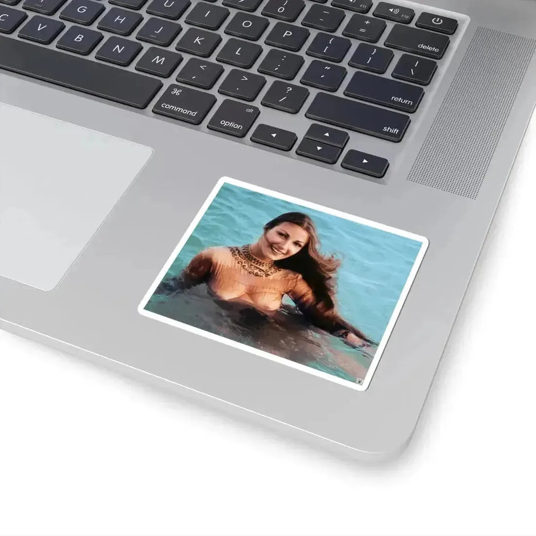 Jane Seymour #12 (Vintage Female Icon) STICKER Vinyl Kiss-Cut Decal - The Sticker Space