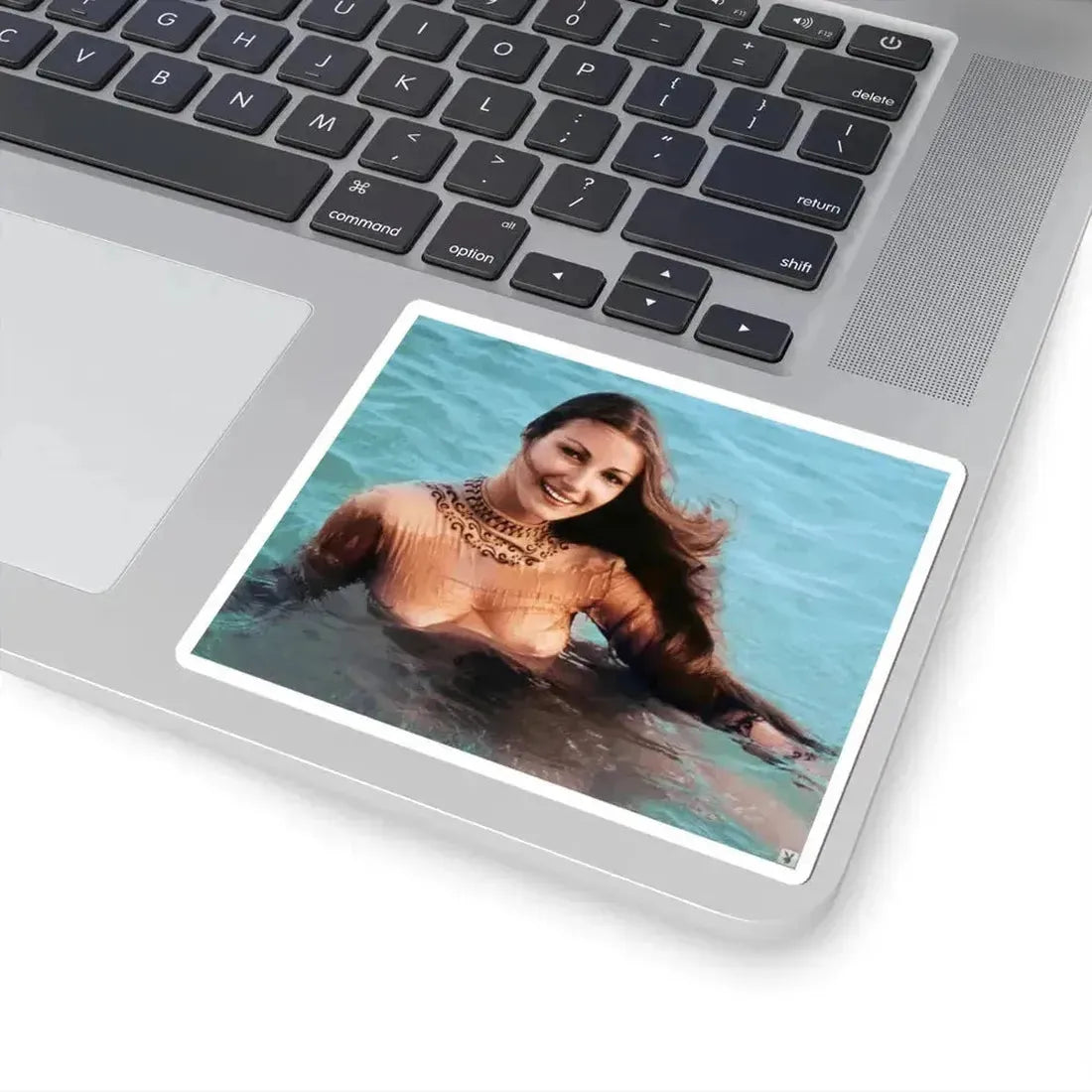 Jane Seymour #12 (Vintage Female Icon) STICKER Vinyl Kiss-Cut Decal - The Sticker Space