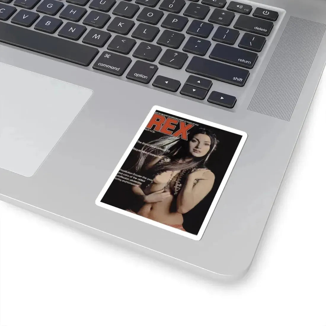 Jane Seymour #20 (Vintage Female Icon) STICKER Vinyl Kiss-Cut Decal - The Sticker Space