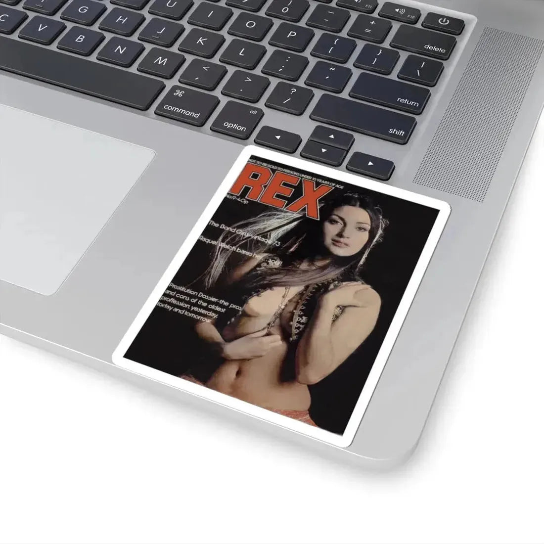 Jane Seymour #20 (Vintage Female Icon) STICKER Vinyl Kiss-Cut Decal - The Sticker Space