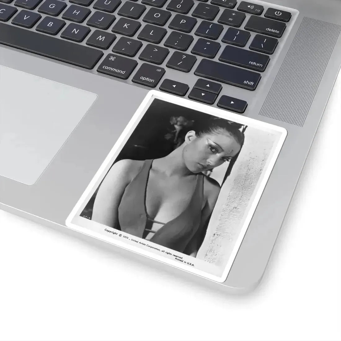 Jane Seymour #22 (Vintage Female Icon) STICKER Vinyl Kiss-Cut Decal - The Sticker Space