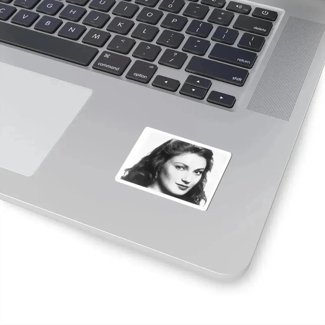 Jane Seymour #23 (Vintage Female Icon) STICKER Vinyl Kiss-Cut Decal - The Sticker Space