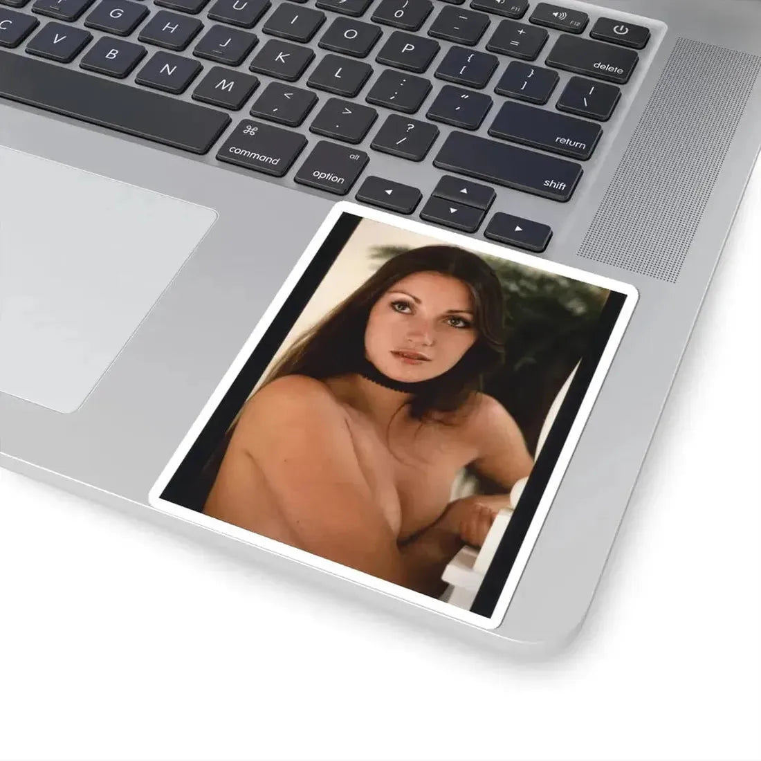 Jane Seymour #27 (Vintage Female Icon) STICKER Vinyl Kiss-Cut Decal - The Sticker Space