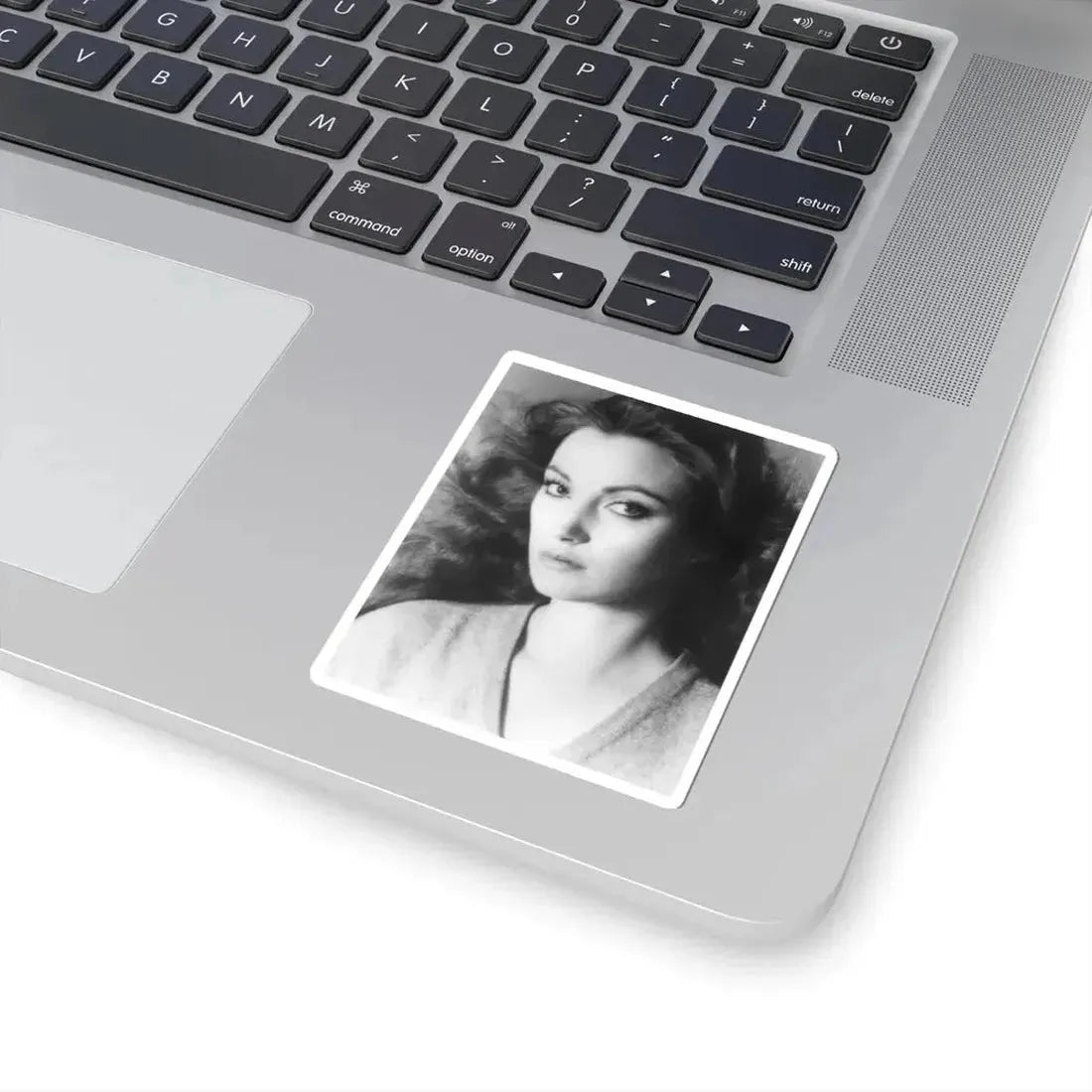 Jane Seymour #28 (Vintage Female Icon) STICKER Vinyl Kiss-Cut Decal - The Sticker Space