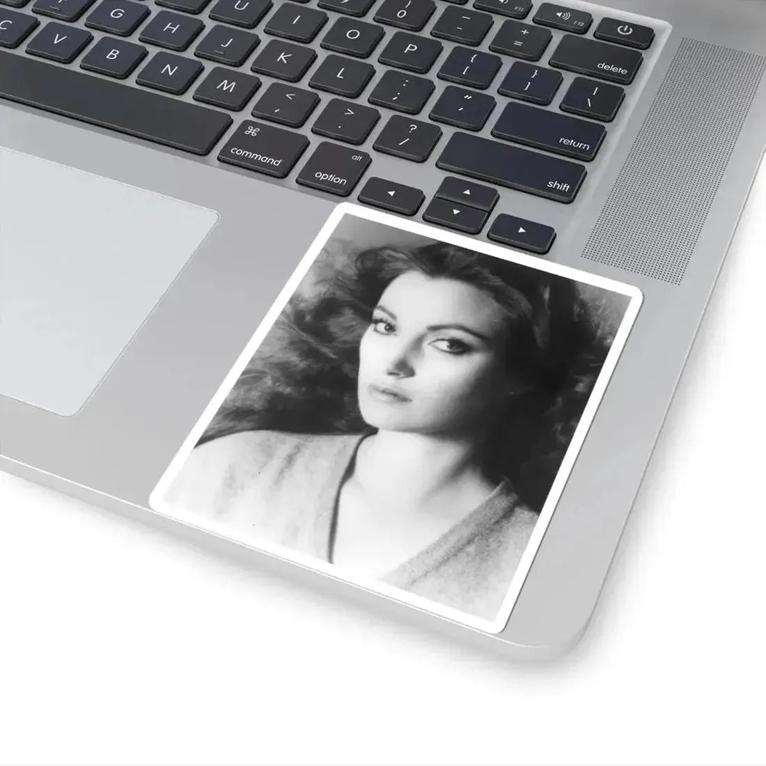 Jane Seymour #28 (Vintage Female Icon) STICKER Vinyl Kiss-Cut Decal - The Sticker Space