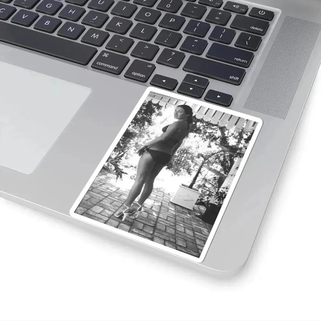 Jane Seymour #64 (Vintage Female Icon) STICKER Vinyl Kiss-Cut Decal - The Sticker Space