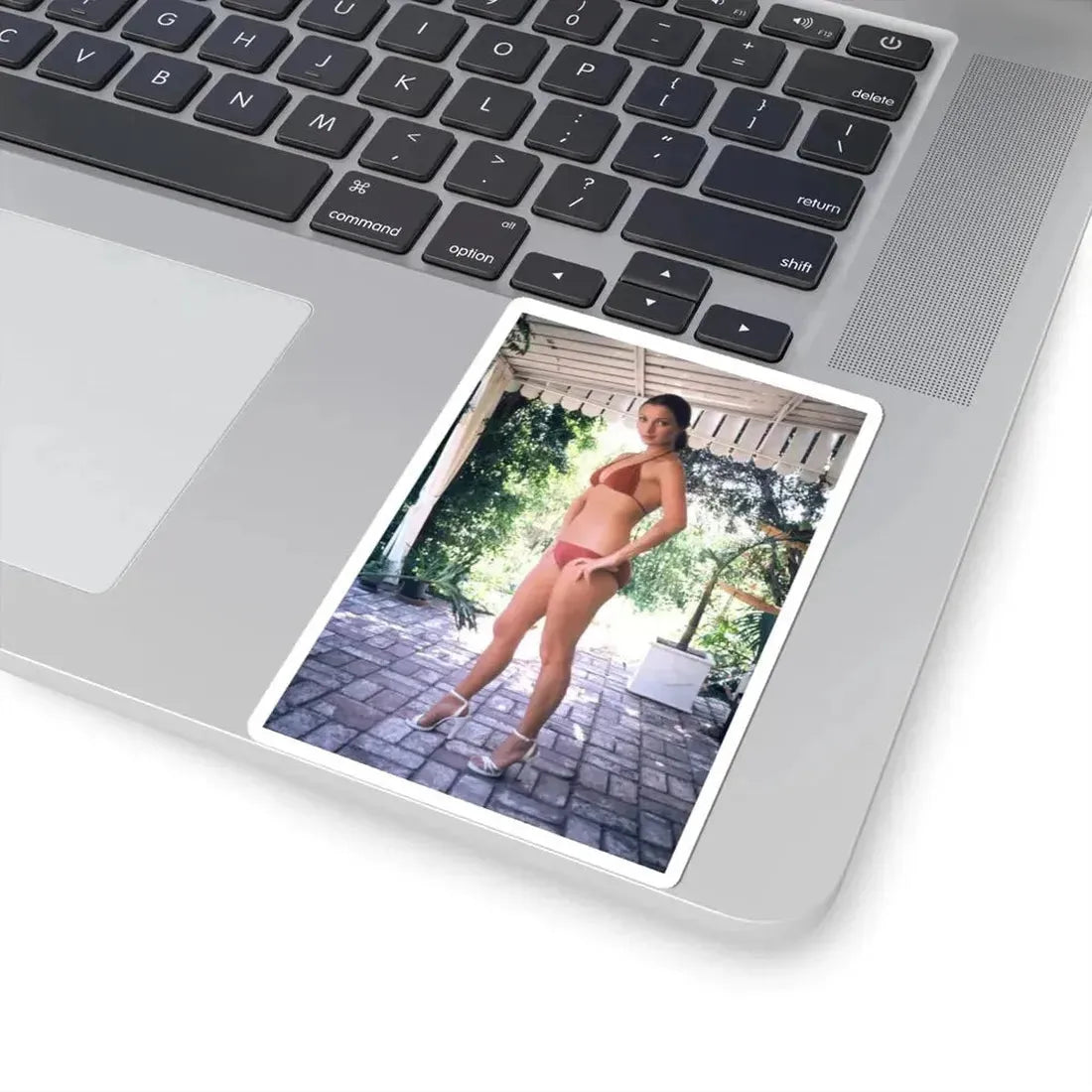 Jane Seymour #69 (Vintage Female Icon) STICKER Vinyl Kiss-Cut Decal - The Sticker Space