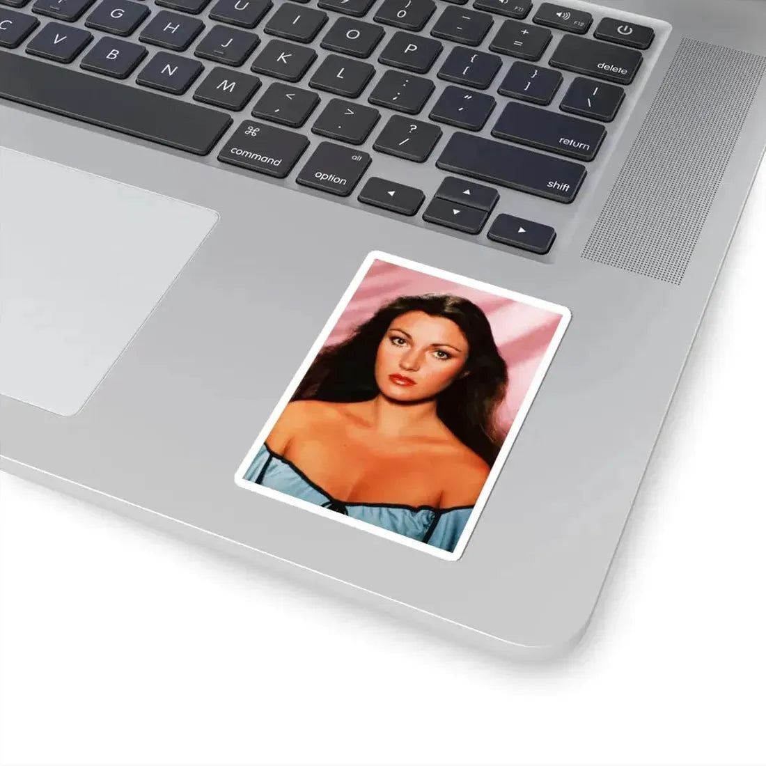 Jane Seymour #72 (Vintage Female Icon) STICKER Vinyl Kiss-Cut Decal - The Sticker Space