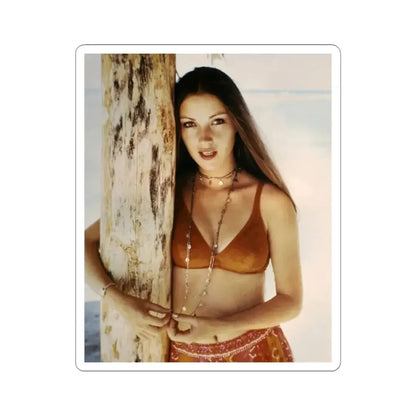 Jane Seymour #76 (Vintage Female Icon) STICKER Vinyl Kiss-Cut Decal 6 Inch White - The Sticker Space