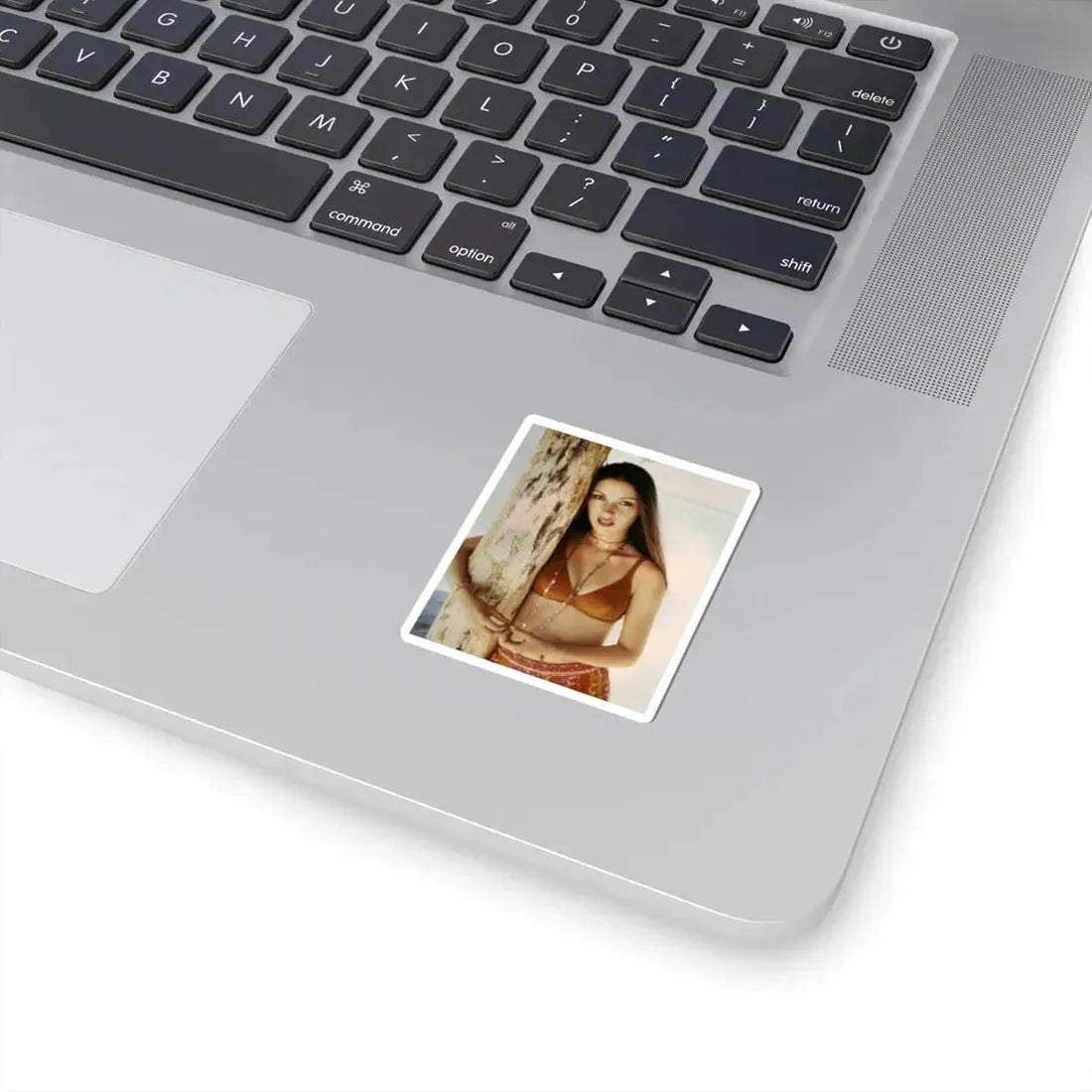 Jane Seymour #76 (Vintage Female Icon) STICKER Vinyl Kiss-Cut Decal - The Sticker Space