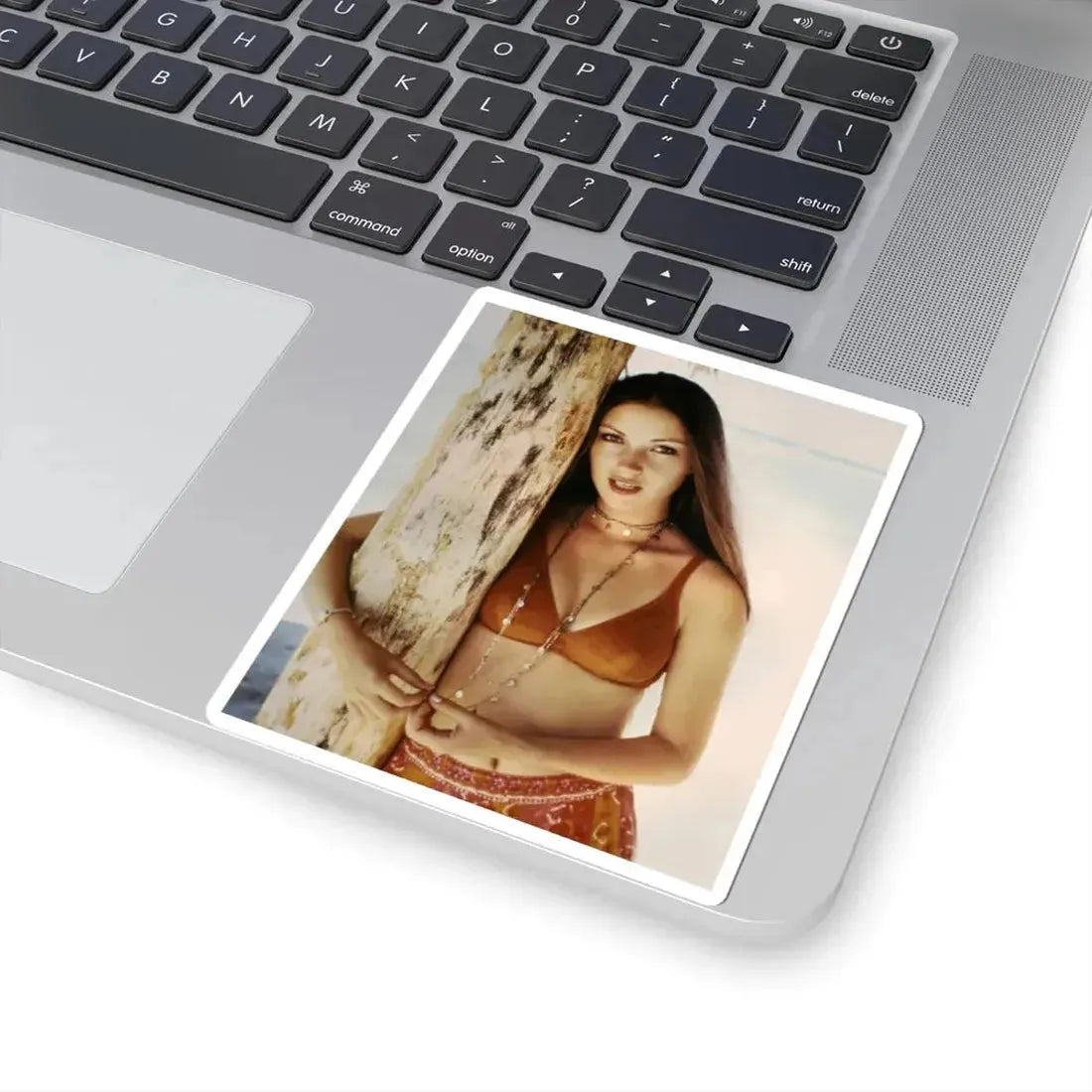 Jane Seymour #76 (Vintage Female Icon) STICKER Vinyl Kiss-Cut Decal - The Sticker Space