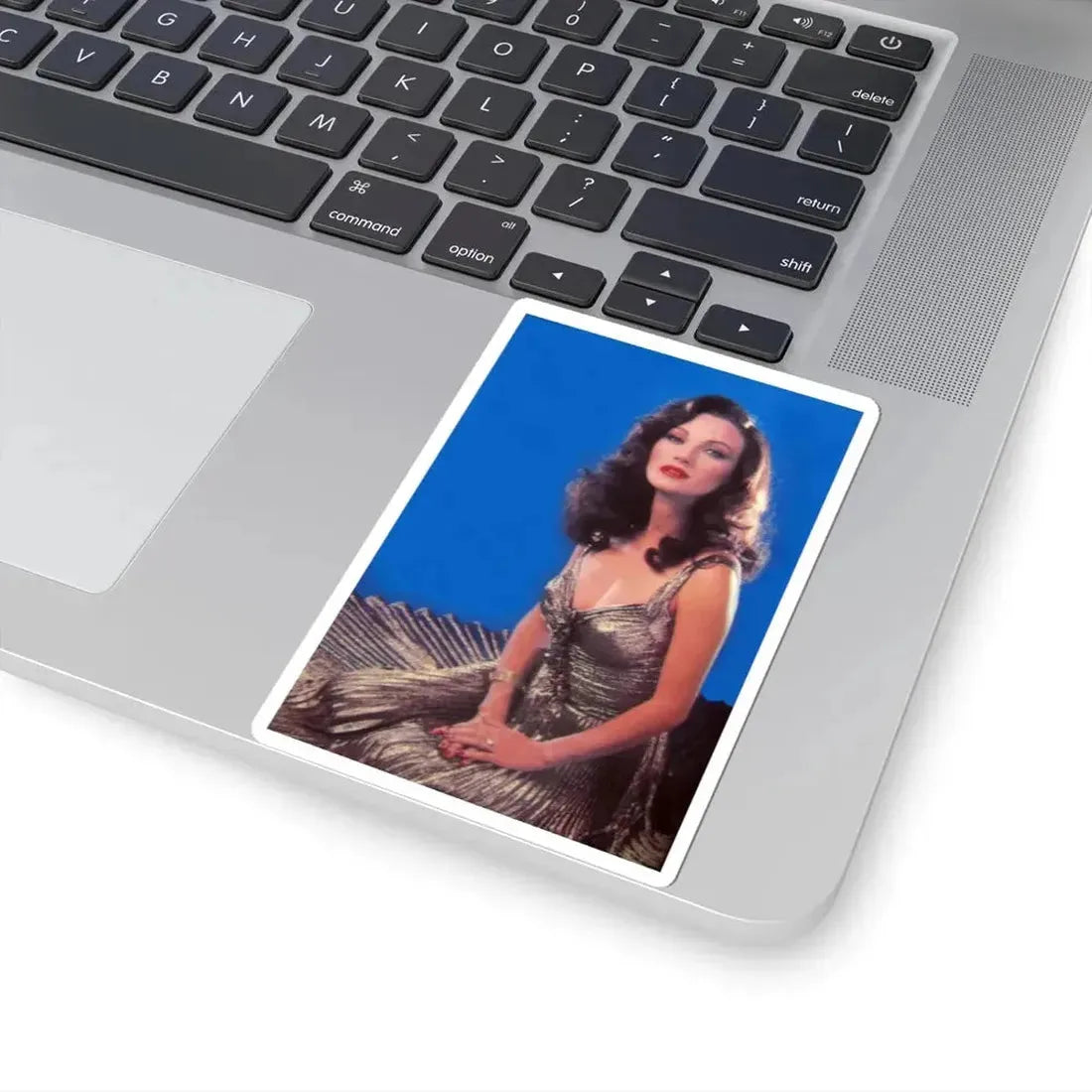 Jane Seymour #80 (Vintage Female Icon) STICKER Vinyl Kiss-Cut Decal - The Sticker Space