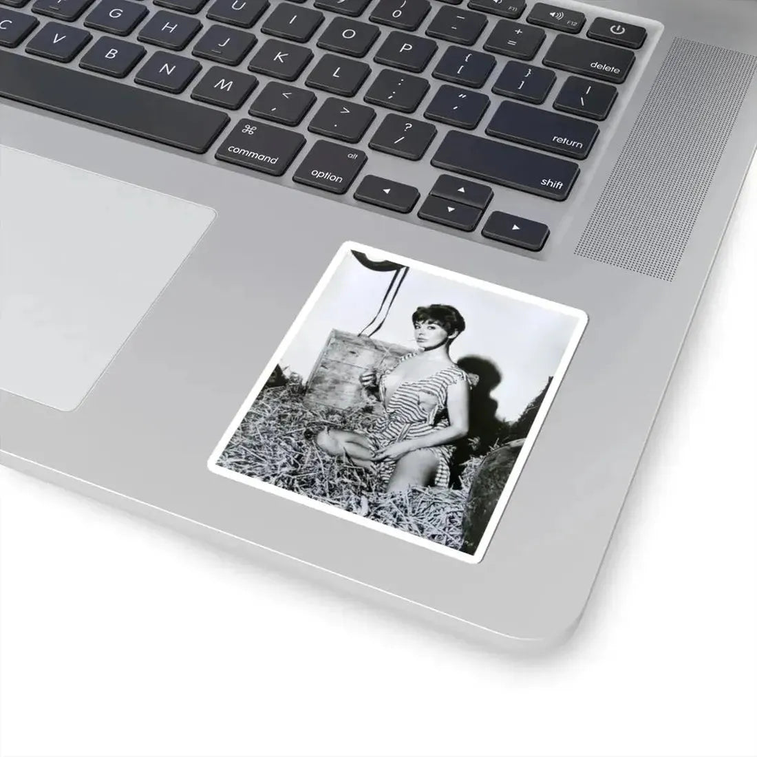 Janet Munro #23 (Vintage Female Icon) STICKER Vinyl Kiss-Cut Decal - The Sticker Space