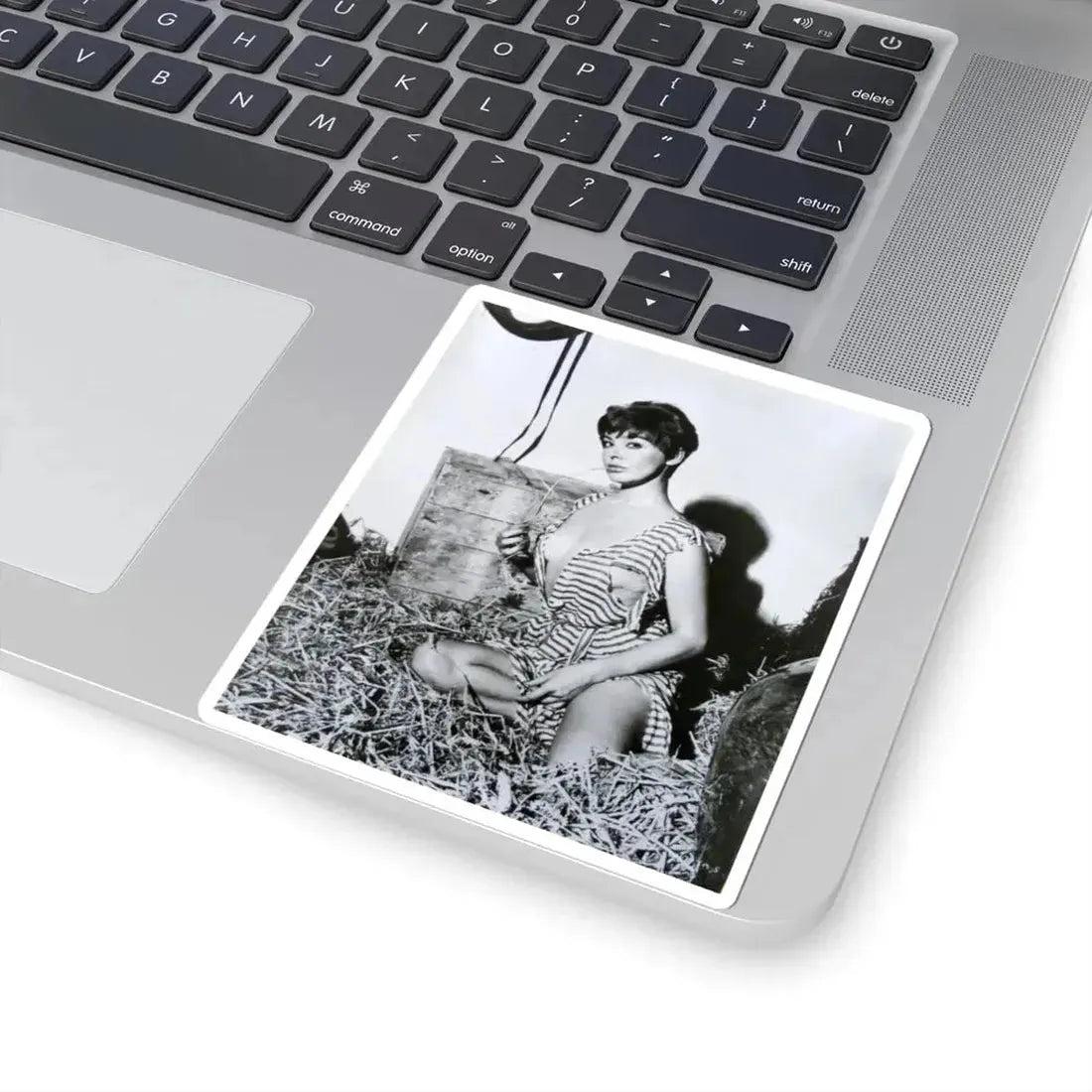 Janet Munro #23 (Vintage Female Icon) STICKER Vinyl Kiss-Cut Decal - The Sticker Space