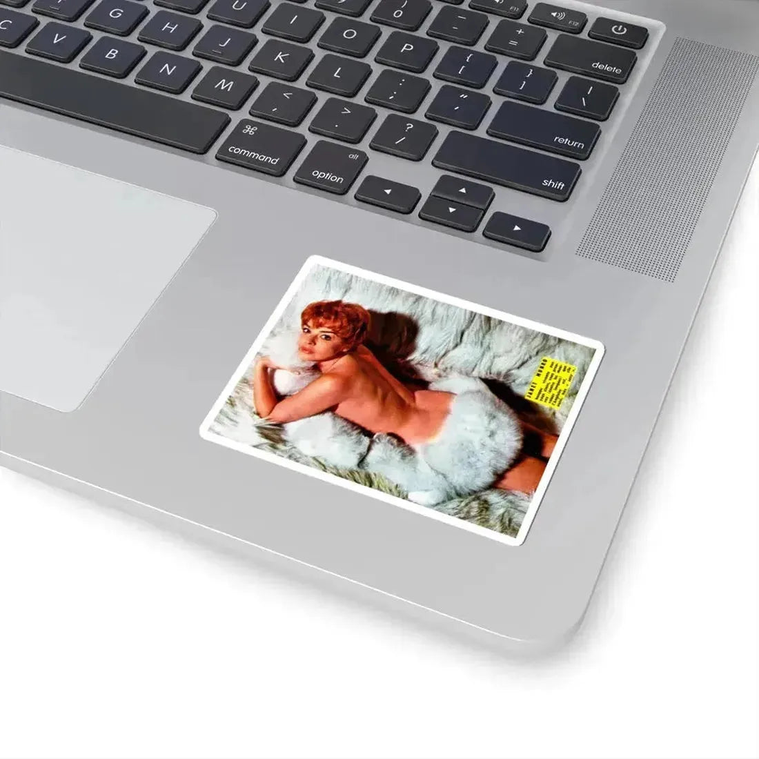 Janet Munro #24 (Vintage Female Icon) STICKER Vinyl Kiss-Cut Decal - The Sticker Space