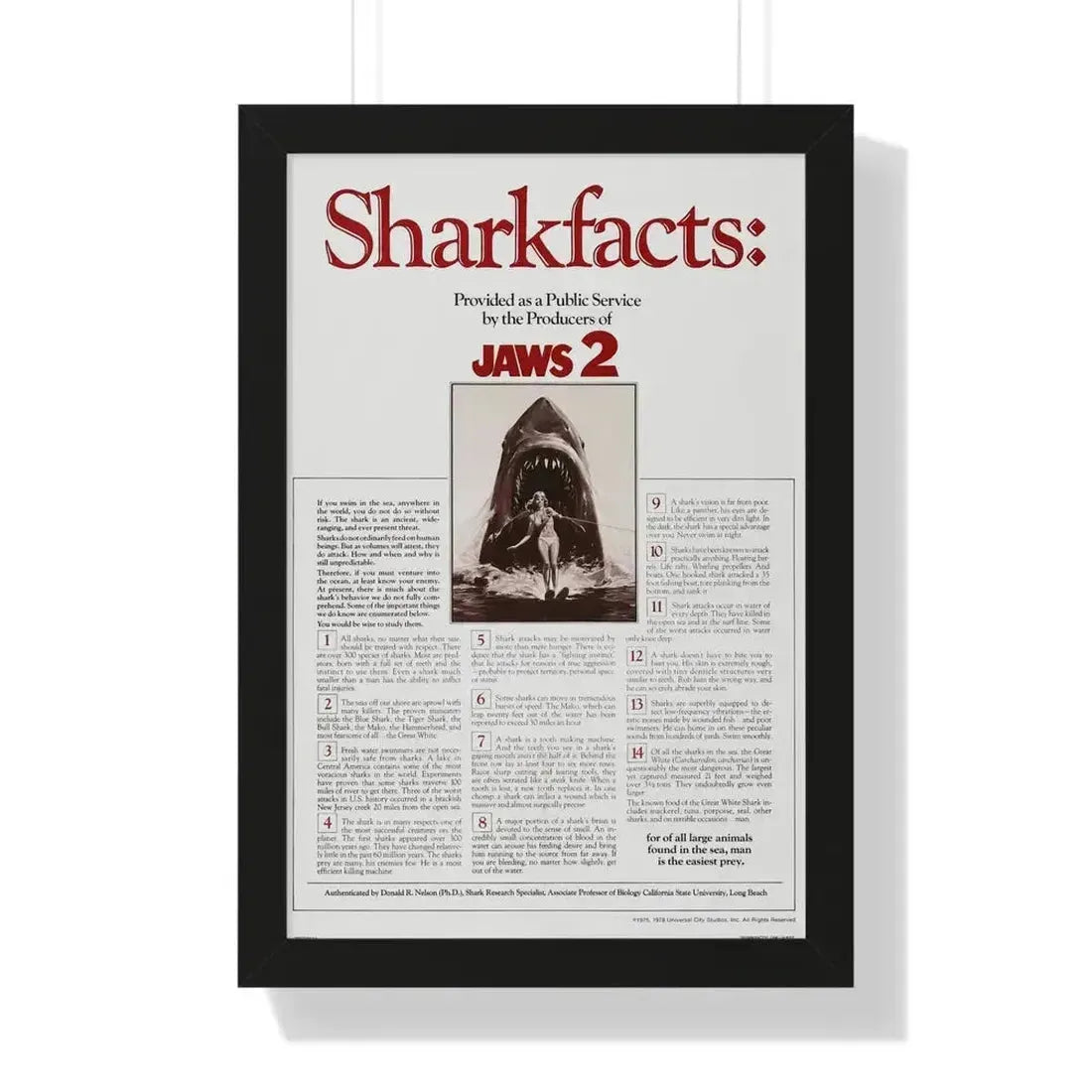 JAWS 2 (TEASER) 1978 - Framed Movie Poster 16″ x 24″ Black - The Sticker Space