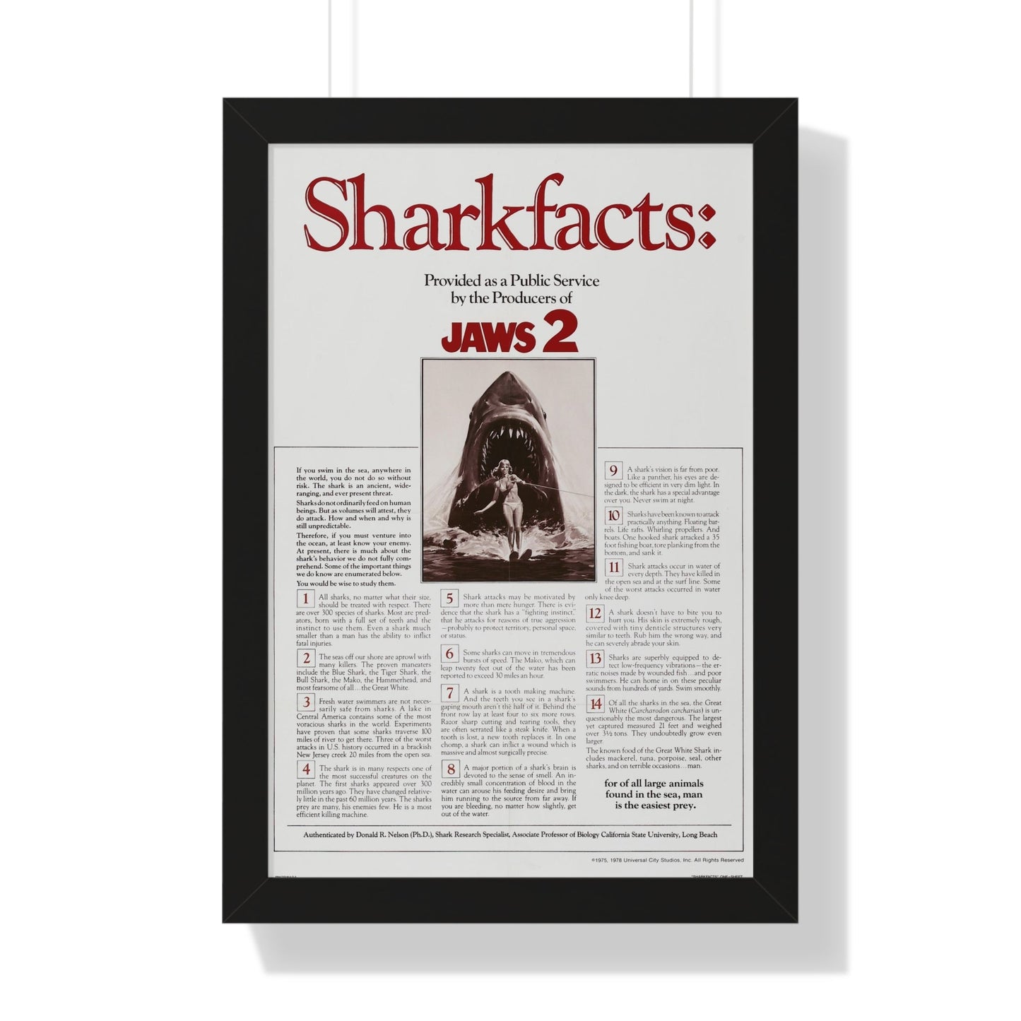 JAWS 2 (TEASER) 1978 - Framed Movie Poster-16″ x 24″-The Sticker Space