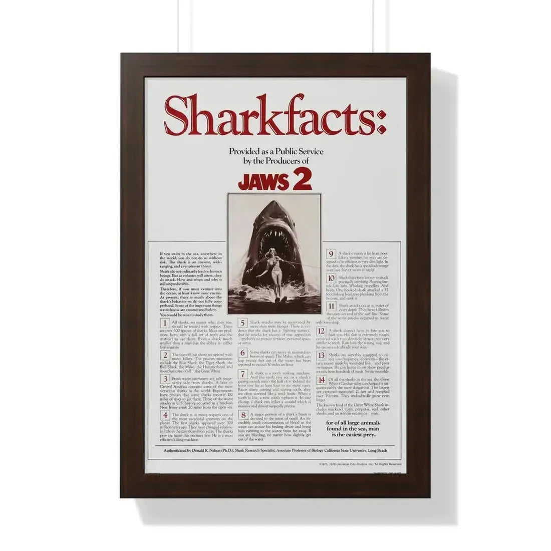 JAWS 2 (TEASER) 1978 - Framed Movie Poster 16″ x 24″ Walnut - The Sticker Space