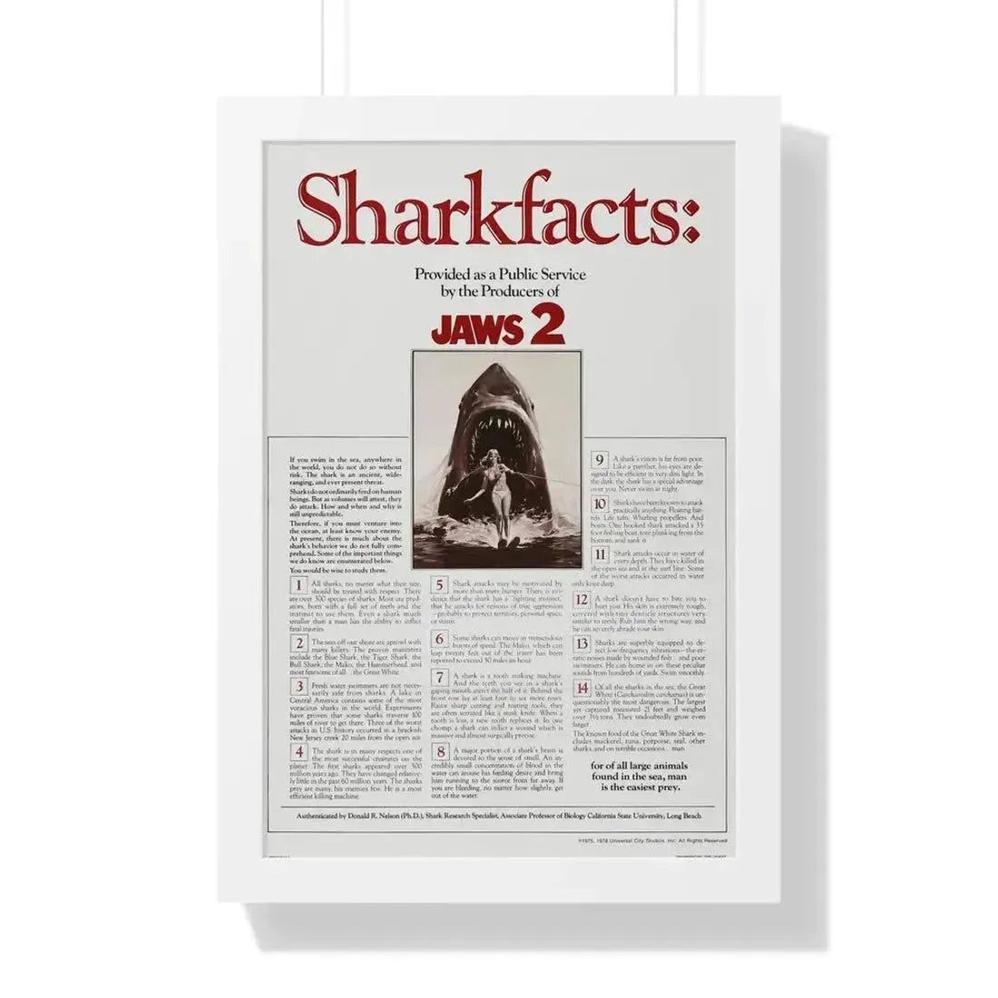 JAWS 2 (TEASER) 1978 - Framed Movie Poster 16″ x 24″ White - The Sticker Space