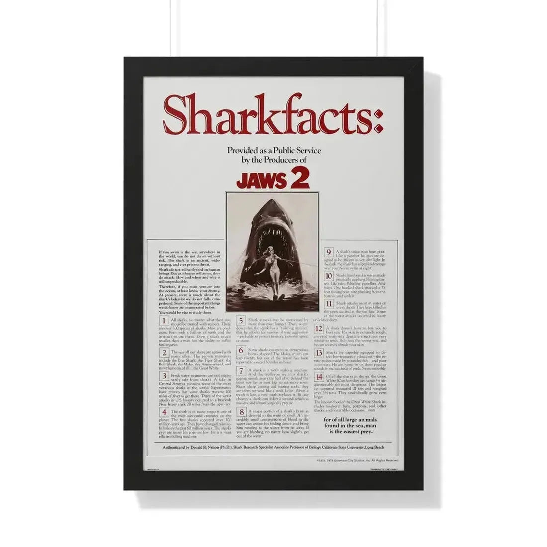 JAWS 2 (TEASER) 1978 - Framed Movie Poster 20" x 30" Black - The Sticker Space
