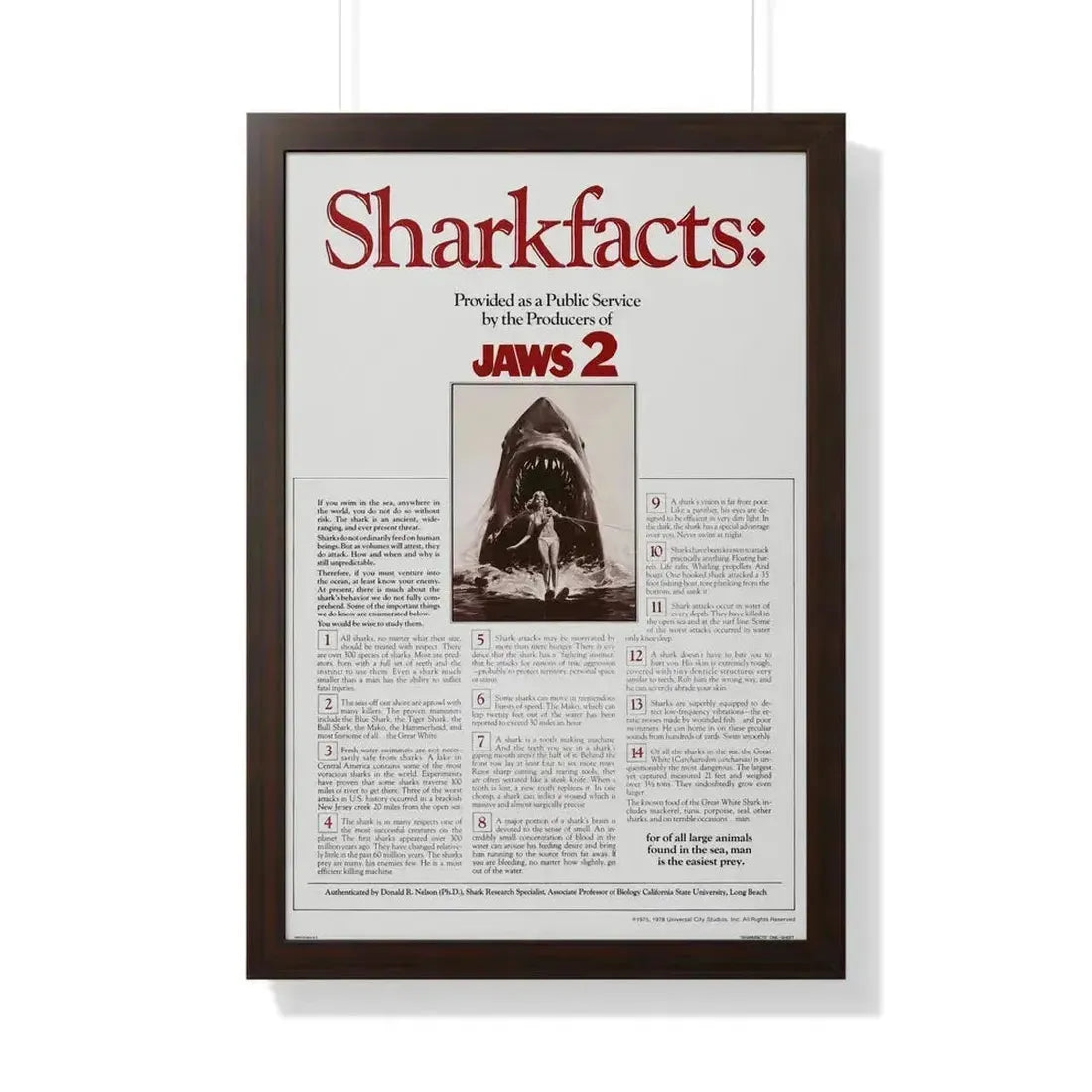 JAWS 2 (TEASER) 1978 - Framed Movie Poster 20" x 30" Walnut - The Sticker Space