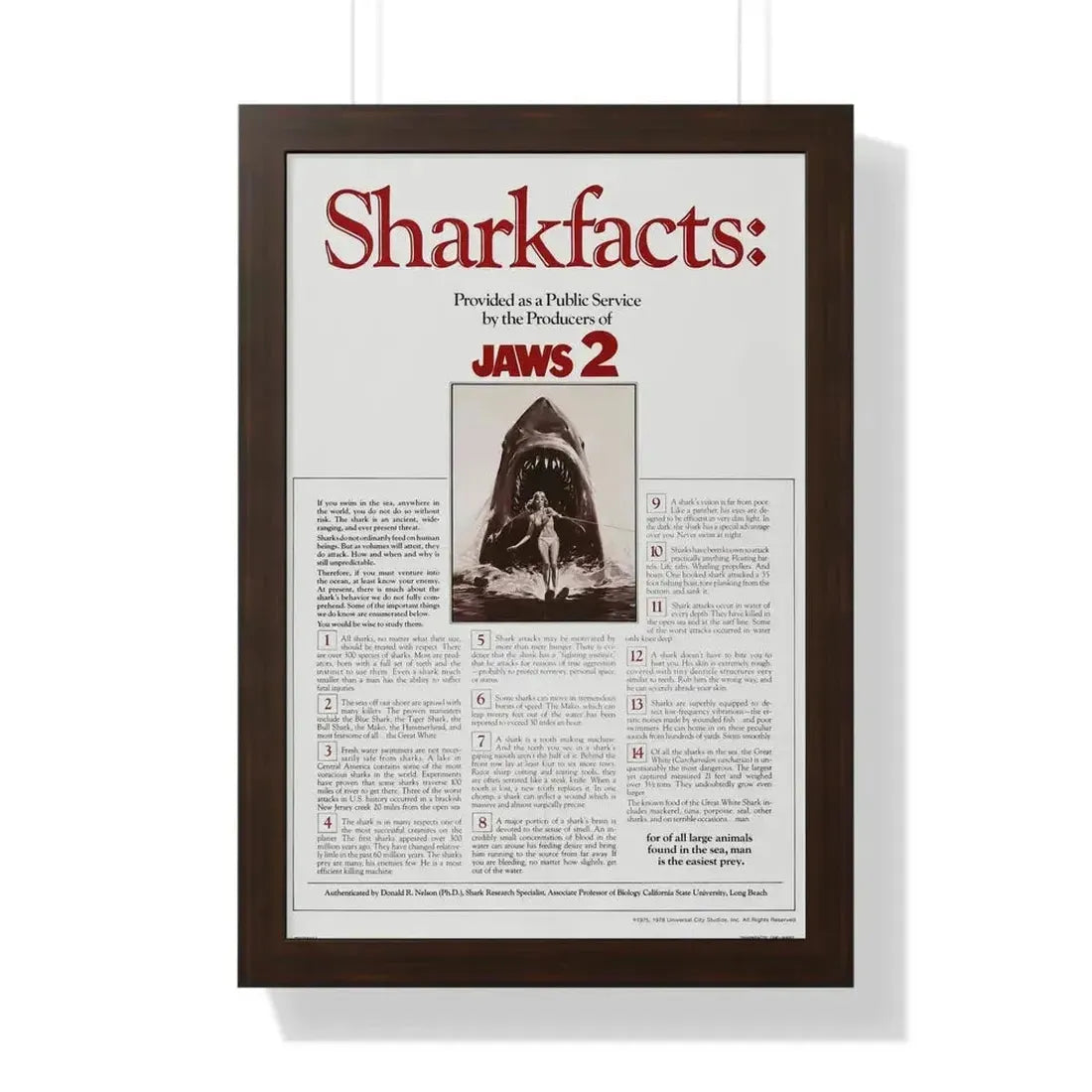 JAWS 2 (TEASER) 1978 - Framed Movie Poster - The Sticker Space