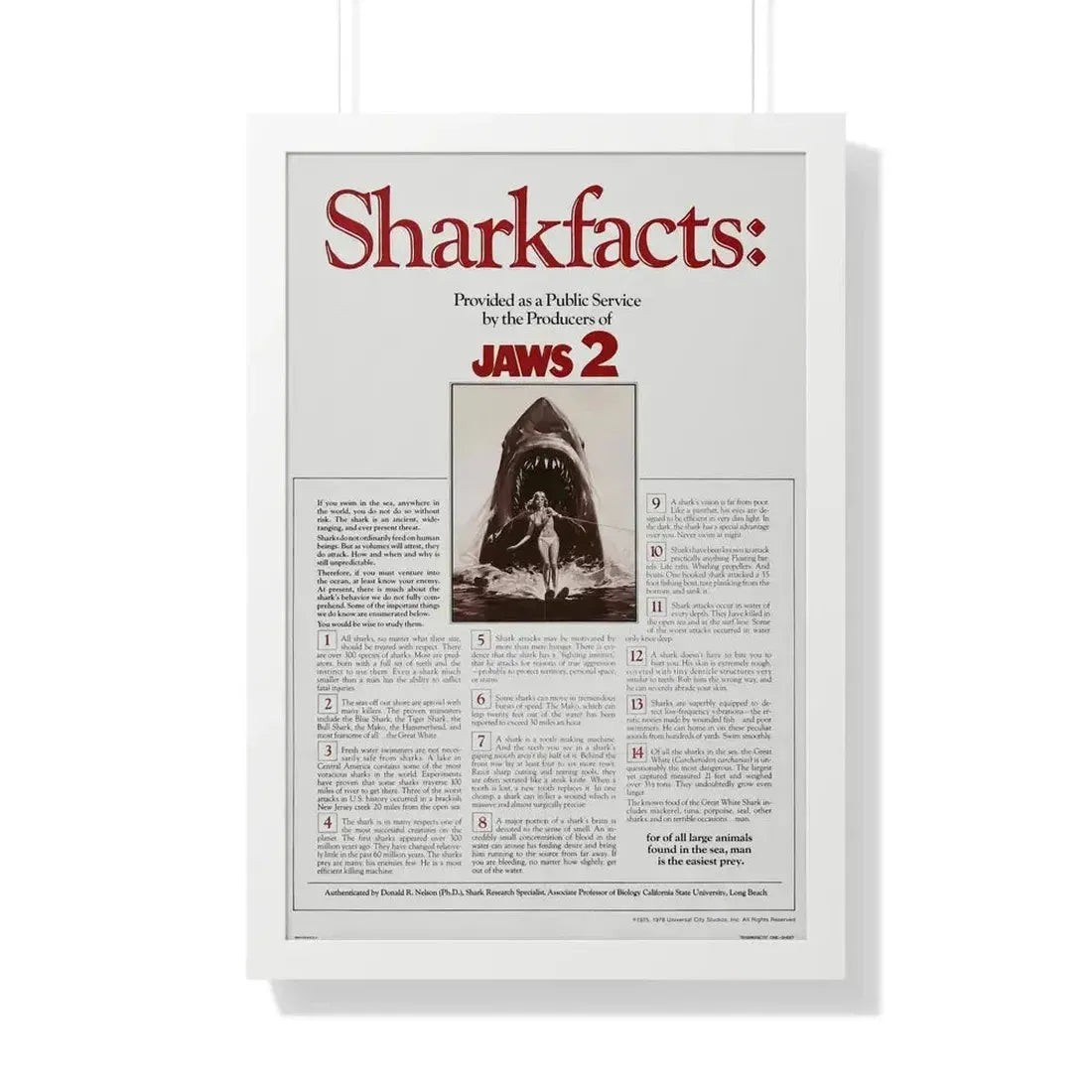 JAWS 2 (TEASER) 1978 - Framed Movie Poster - The Sticker Space