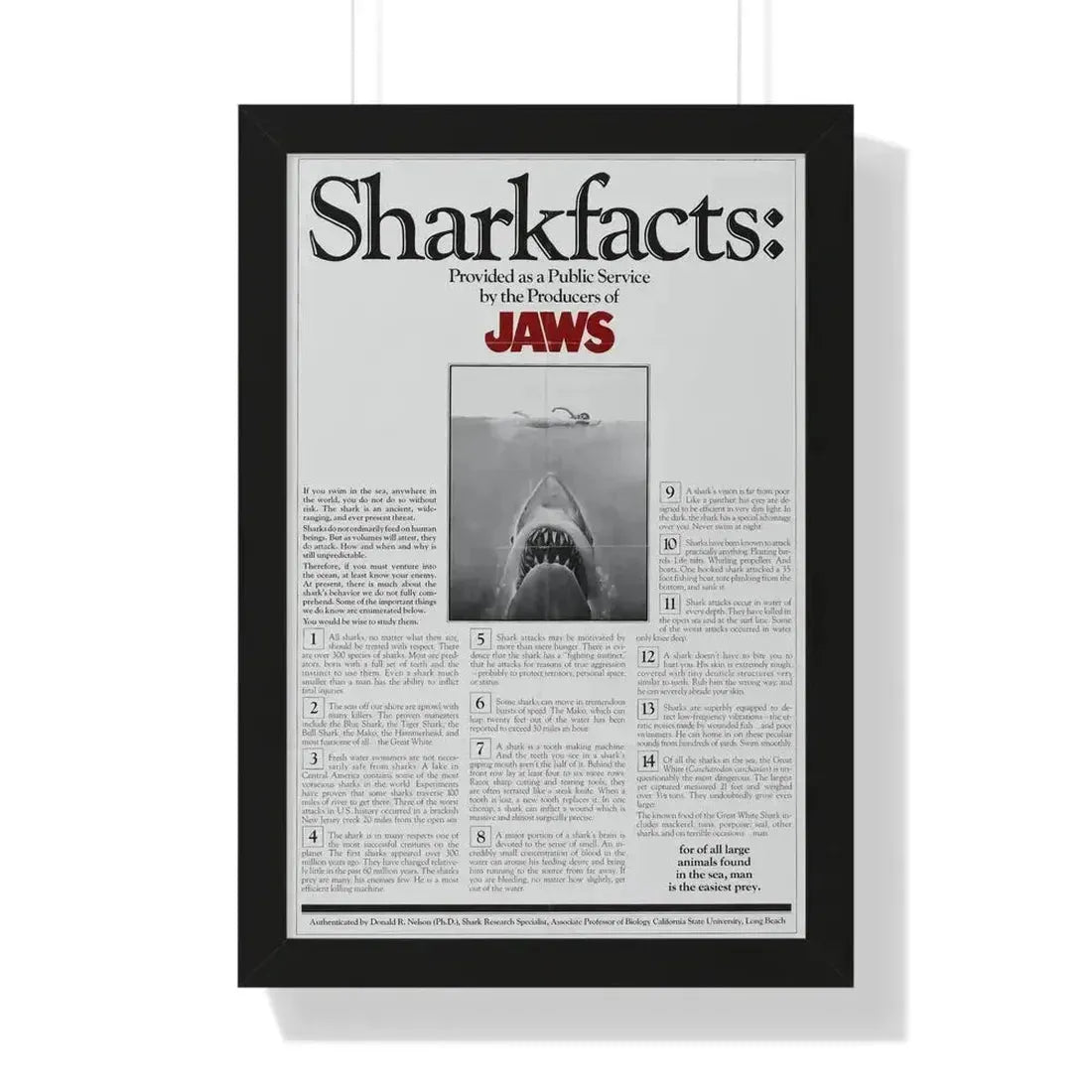 JAWS (TEASER) 1975 - Framed Movie Poster 16″ x 24″ Black - The Sticker Space