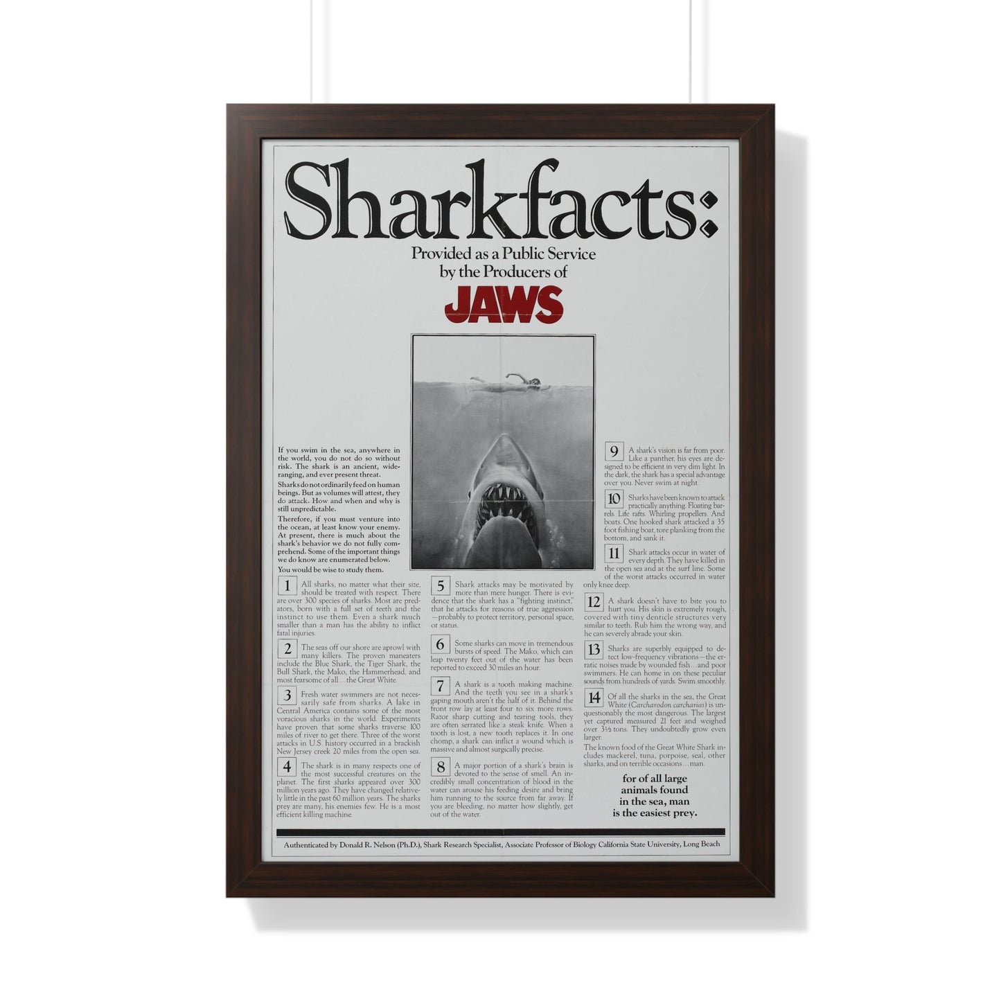 JAWS (TEASER) 1975 - Framed Movie Poster-20" x 30"-The Sticker Space