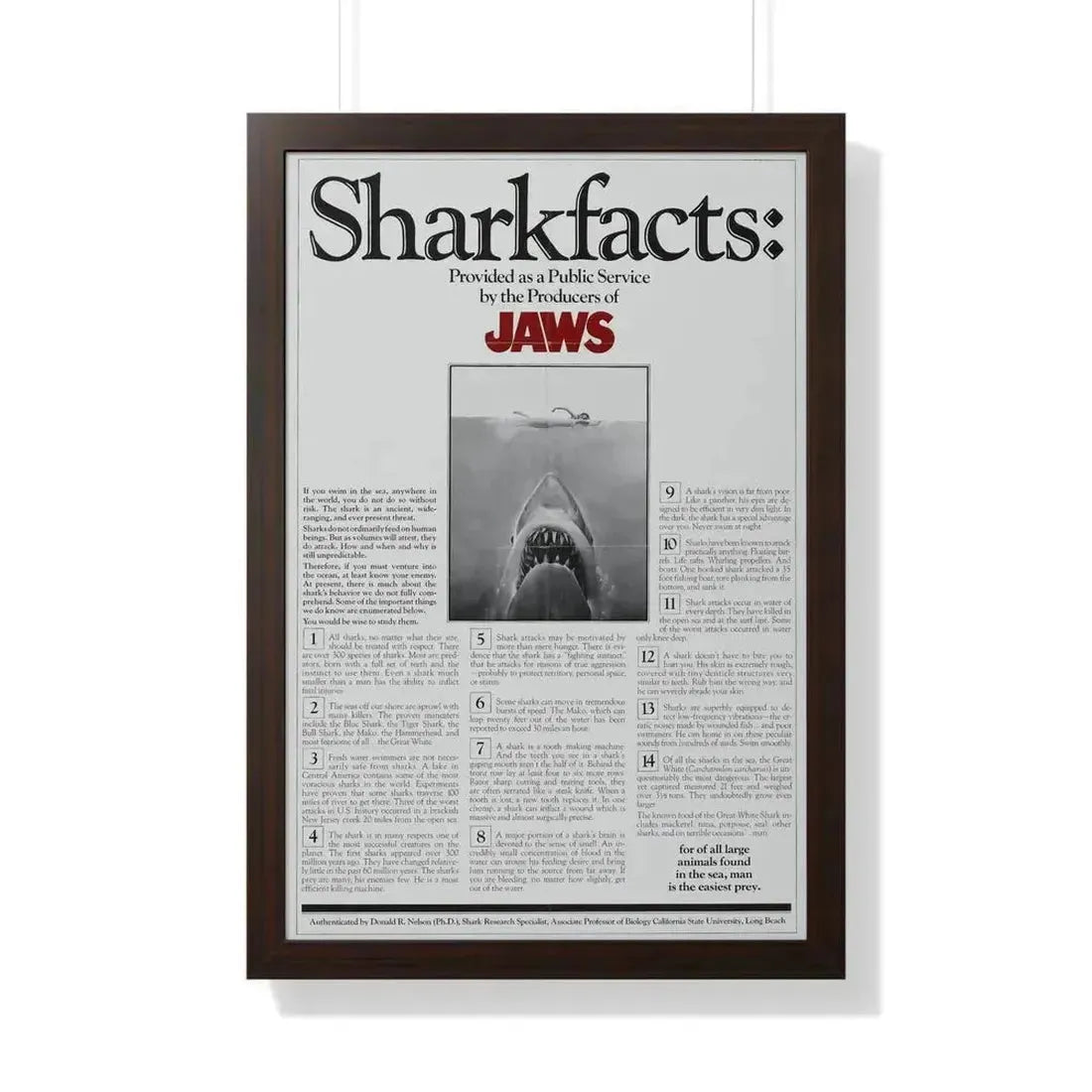 JAWS (TEASER) 1975 - Framed Movie Poster 20" x 30" Walnut - The Sticker Space