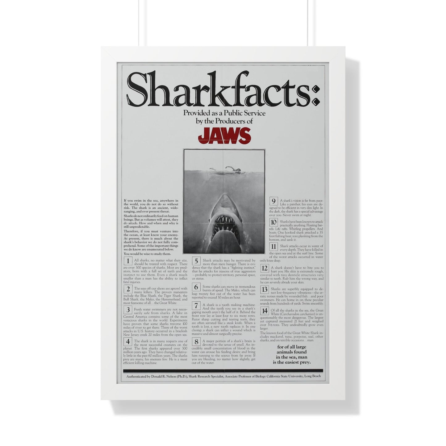 JAWS (TEASER) 1975 - Framed Movie Poster-20" x 30"-The Sticker Space