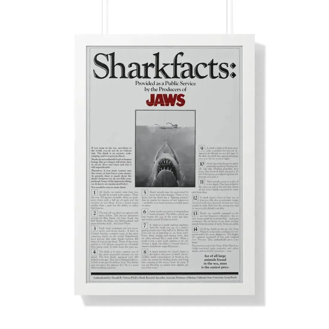 JAWS (TEASER) 1975 - Framed Movie Poster 20" x 30" White - The Sticker Space
