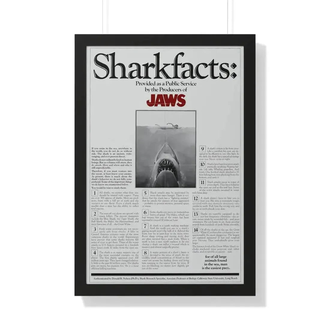 JAWS (TEASER) 1975 - Framed Movie Poster - The Sticker Space