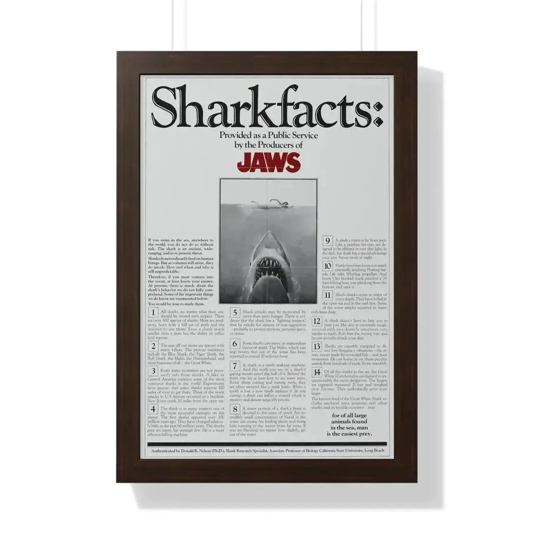 JAWS (TEASER) 1975 - Framed Movie Poster - The Sticker Space