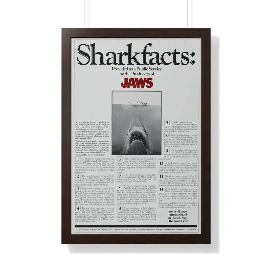 JAWS (TEASER) 1975 - Framed Movie Poster - The Sticker Space
