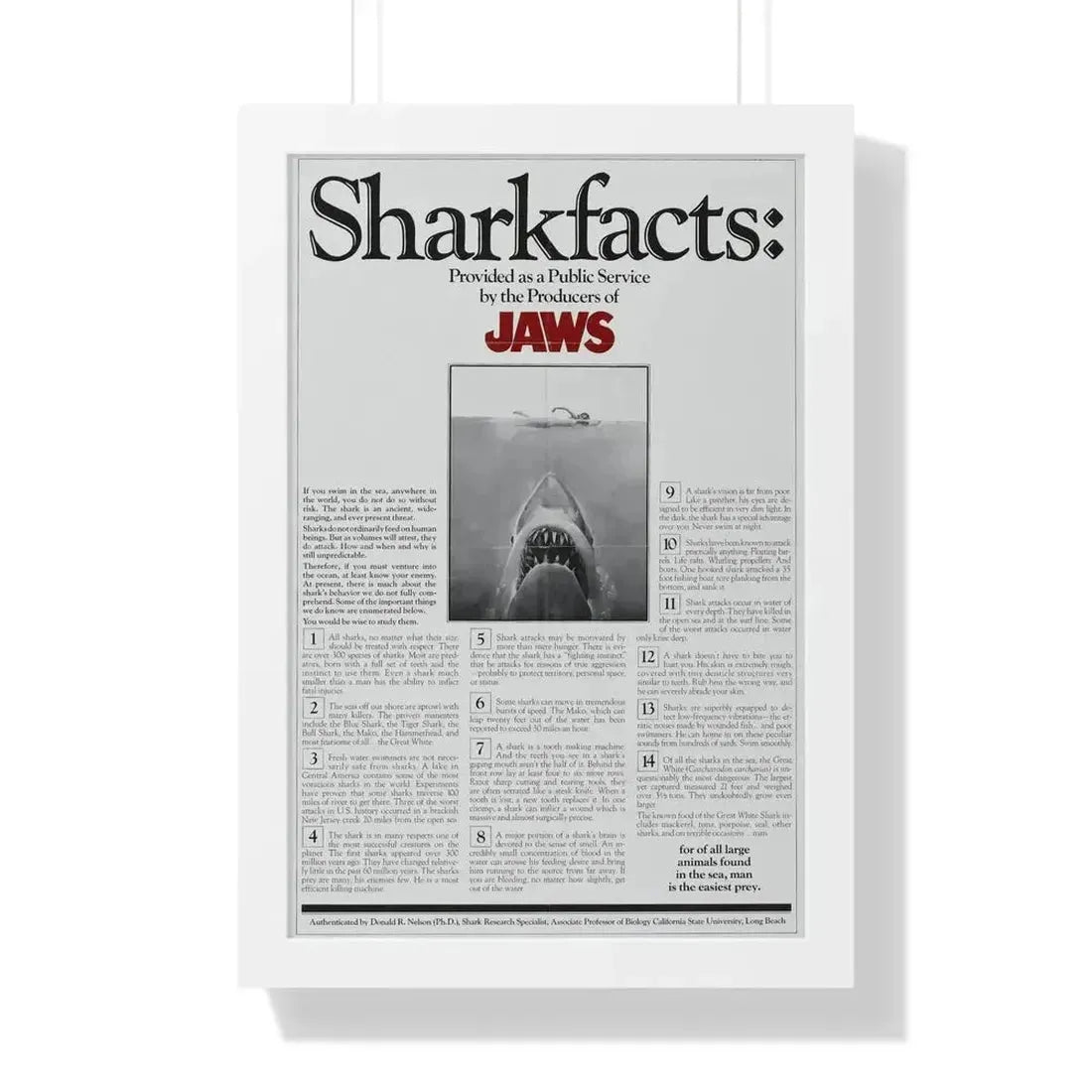 JAWS (TEASER) 1975 - Framed Movie Poster - The Sticker Space