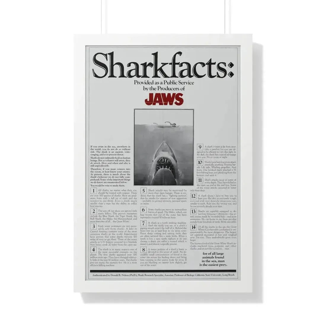 JAWS (TEASER) 1975 - Framed Movie Poster - The Sticker Space
