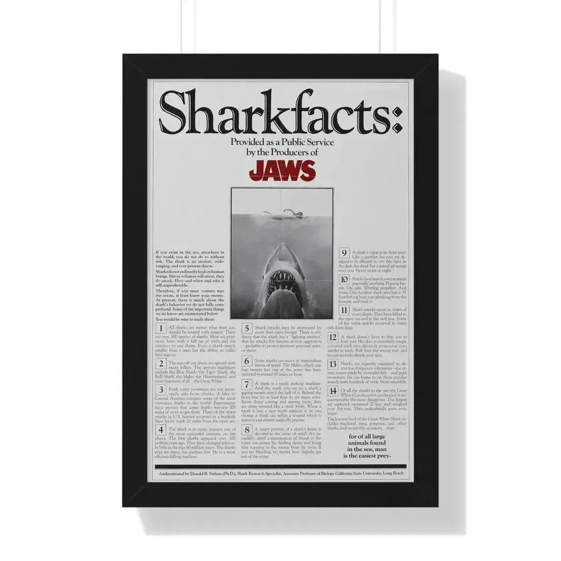 JAWS (TEASER) 1975 - Framed Movie Poster - The Sticker Space