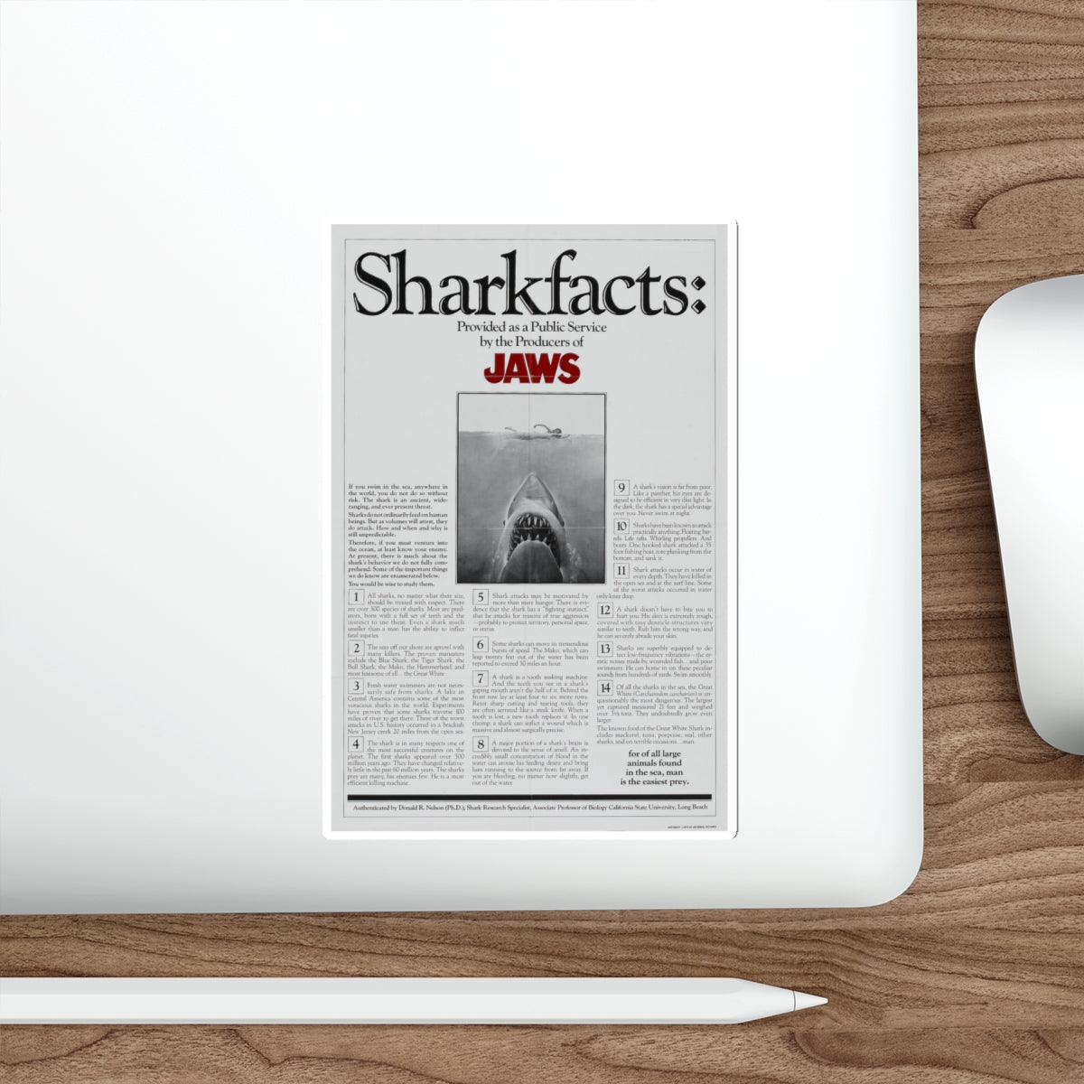 JAWS (TEASER) 1975 Movie Poster STICKER Vinyl Die-Cut Decal-The Sticker Space