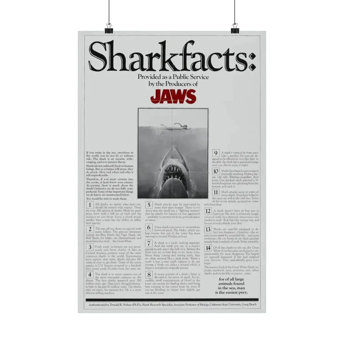 JAWS (TEASER) 1975 - Paper Movie Poster 16″ x 24″ Matte - The Sticker Space