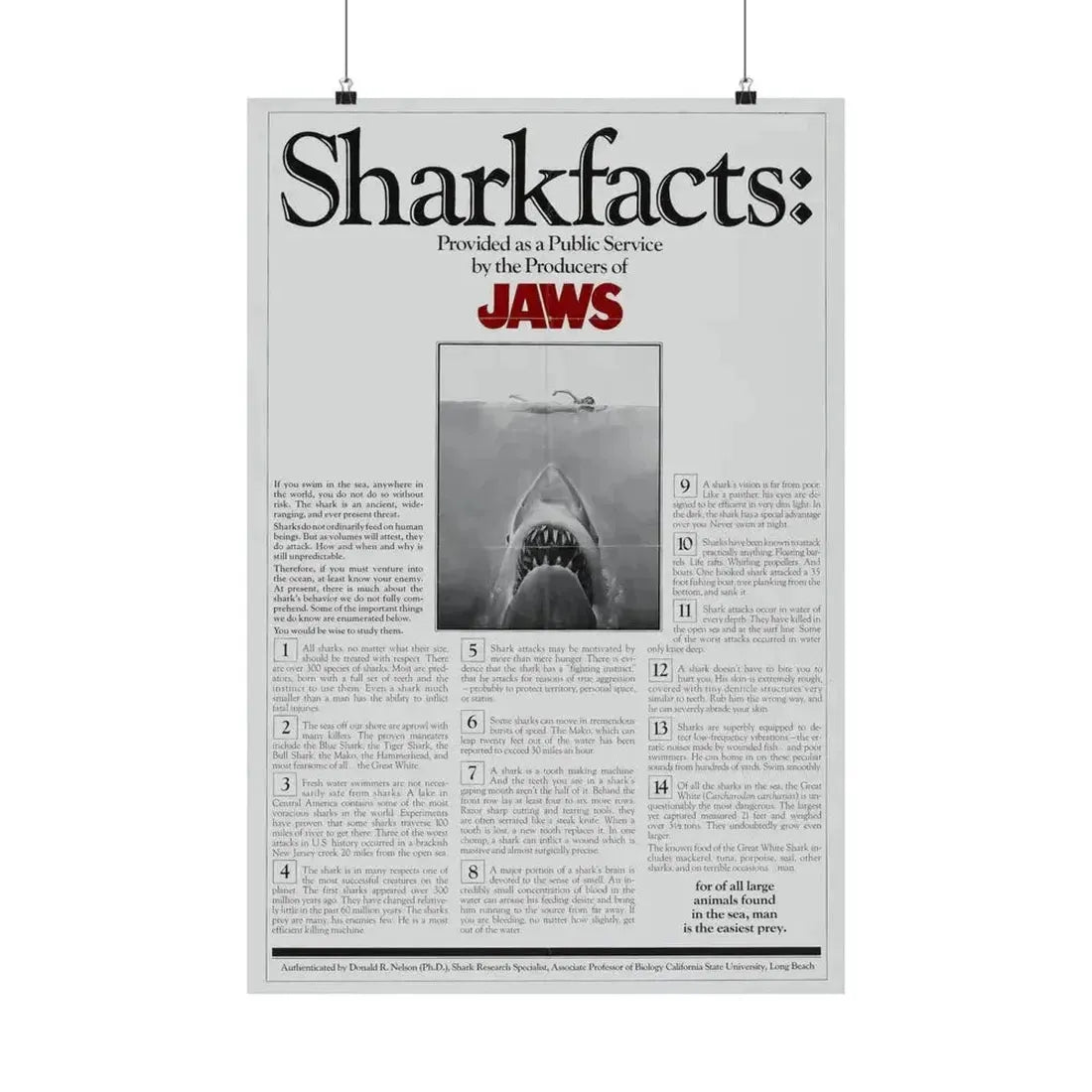 JAWS (TEASER) 1975 - Paper Movie Poster 20″ x 30″ Matte - The Sticker Space