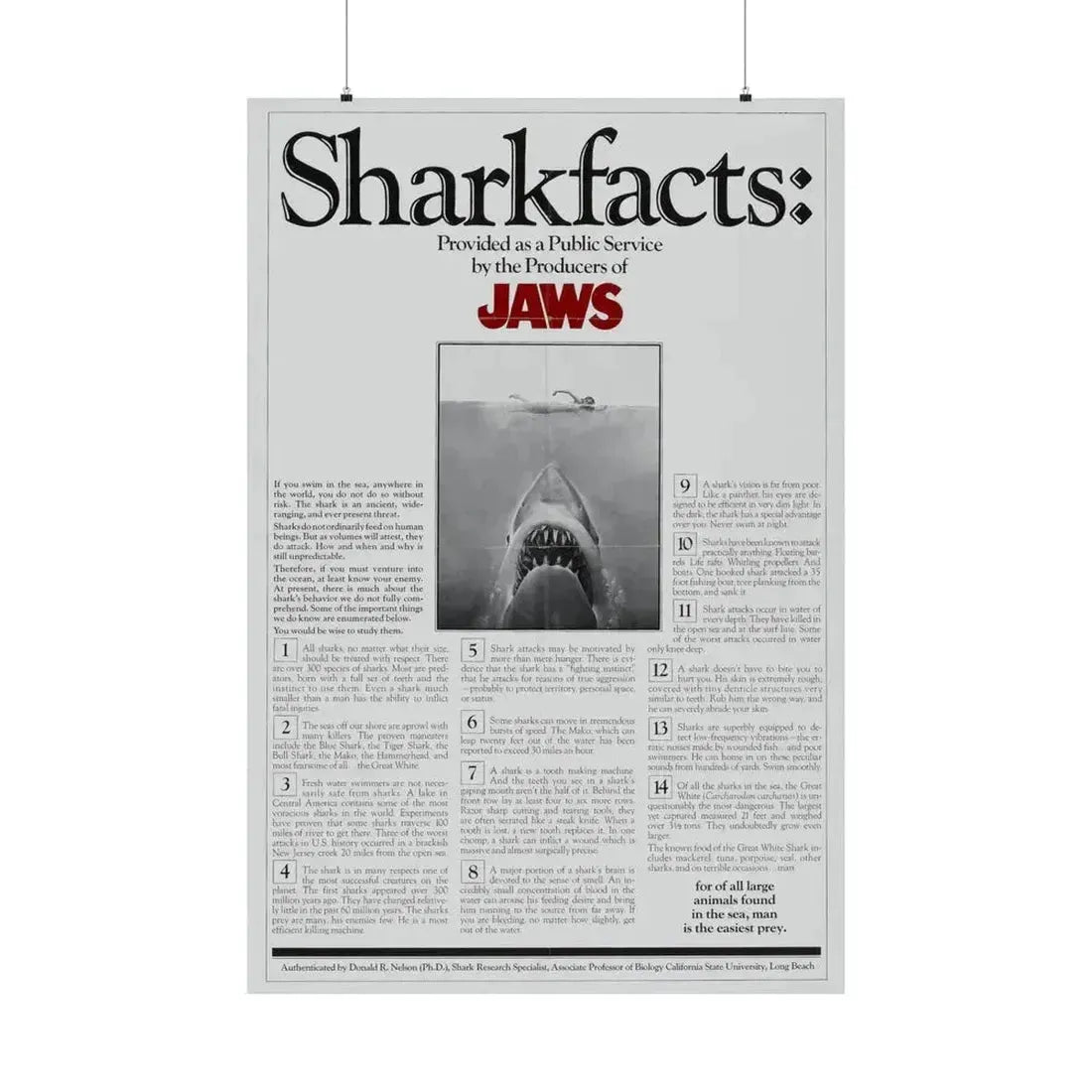 JAWS (TEASER) 1975 - Paper Movie Poster 36" x 54" Matte - The Sticker Space