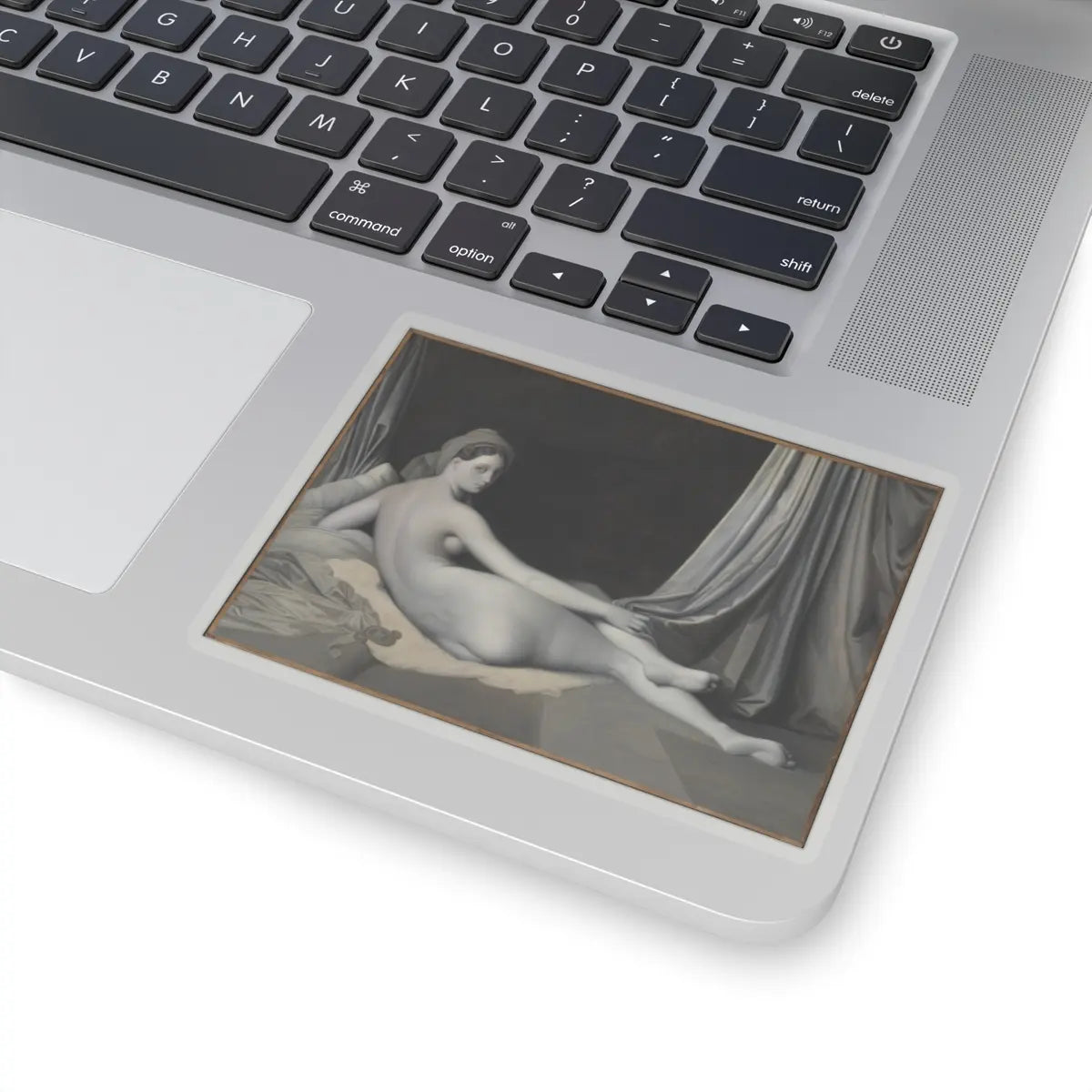 SKU:TSS-STICK-JNGST-4X4-1N1P9 Sizes:4" × 4" Types:Transparent